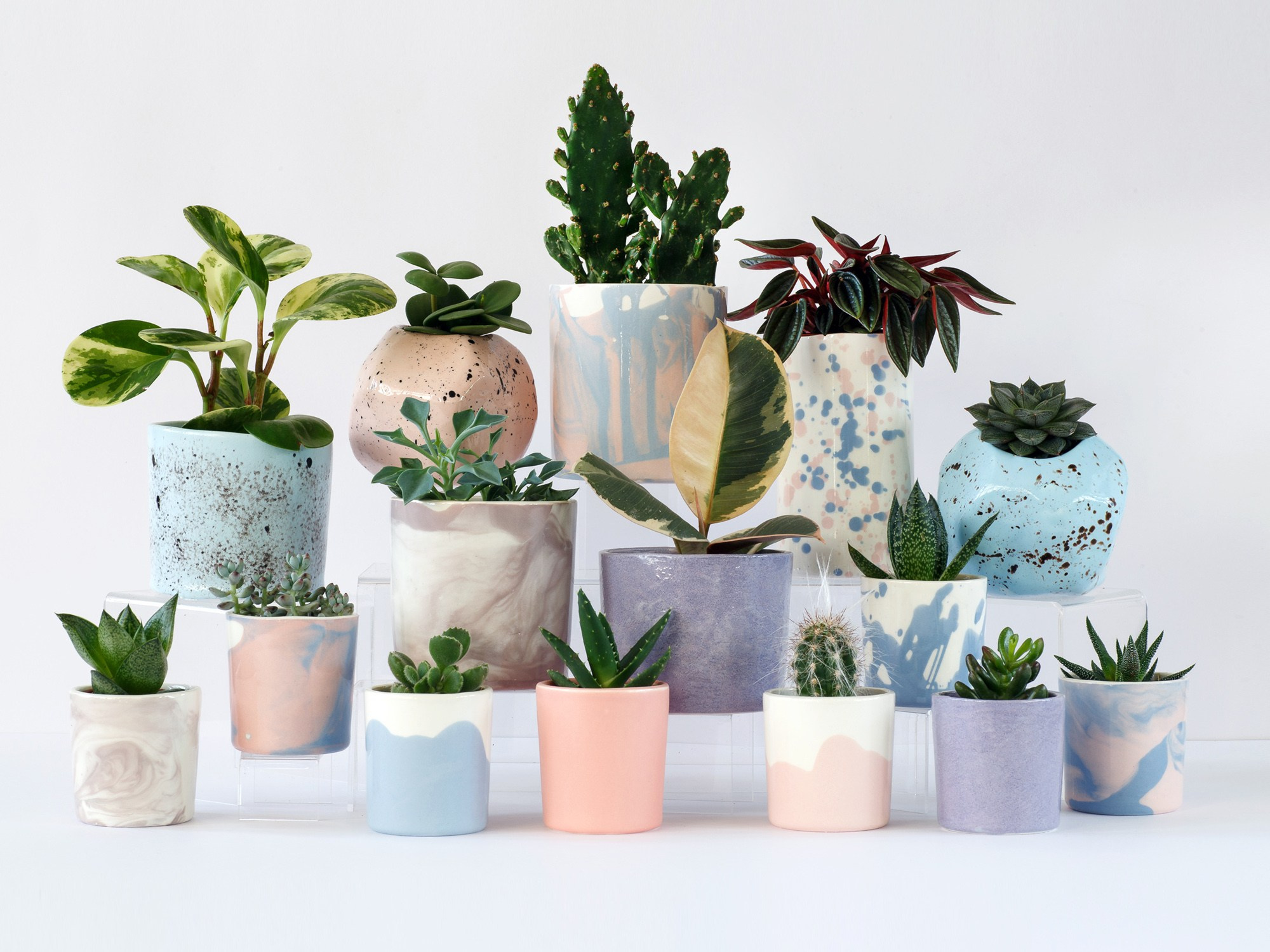 Potanica Moscow. Фотограф Ксения Колесникова. Интерьерная и портретная съемка в Москве