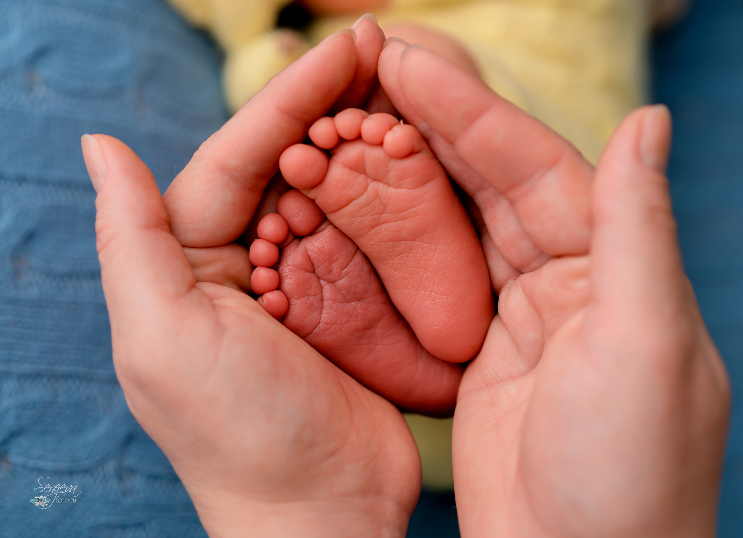 Дмитрий 8 дней. Фотограф новорожденных в Нижнем Новгороде Сергеева Оксана