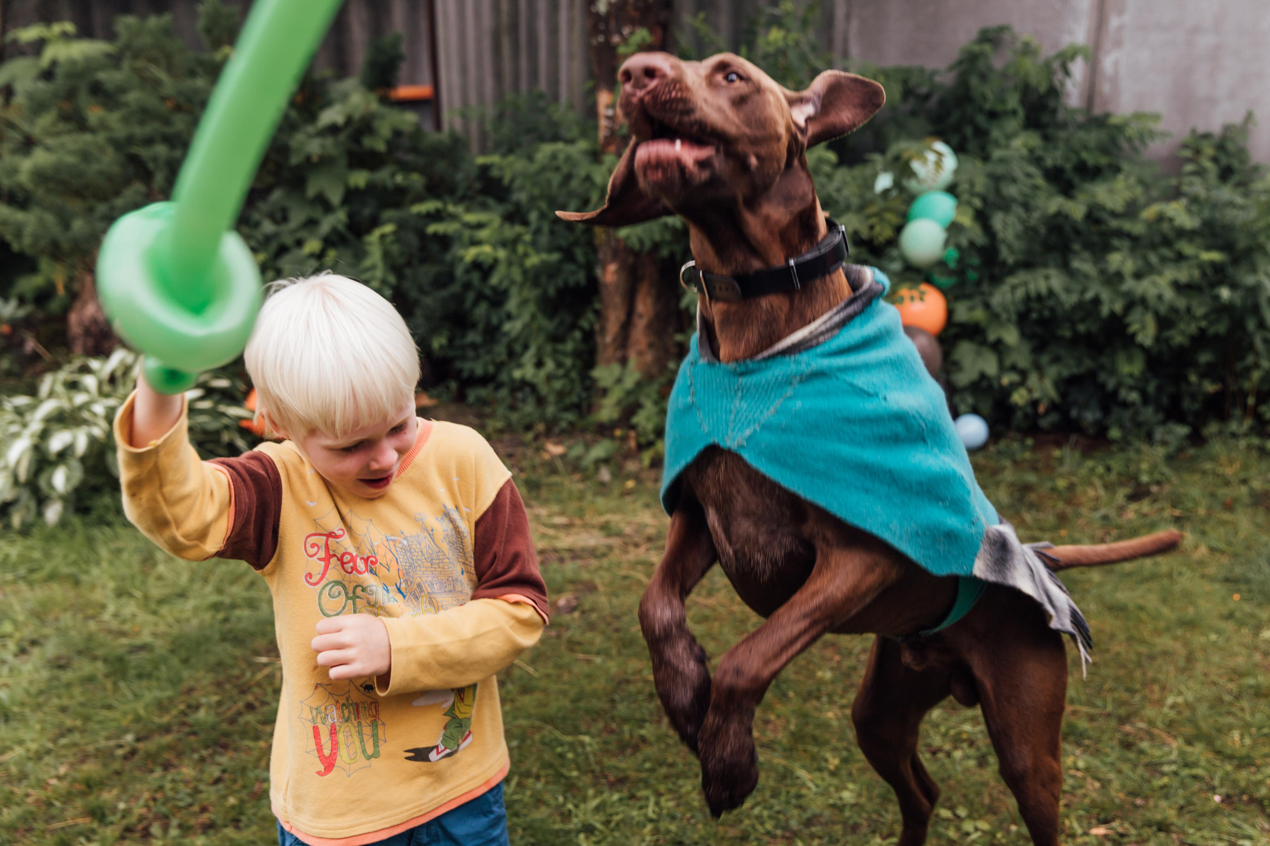 Детские дни рождения. Семейный фотограф в Санкт-Петербурге Алиса Мохова