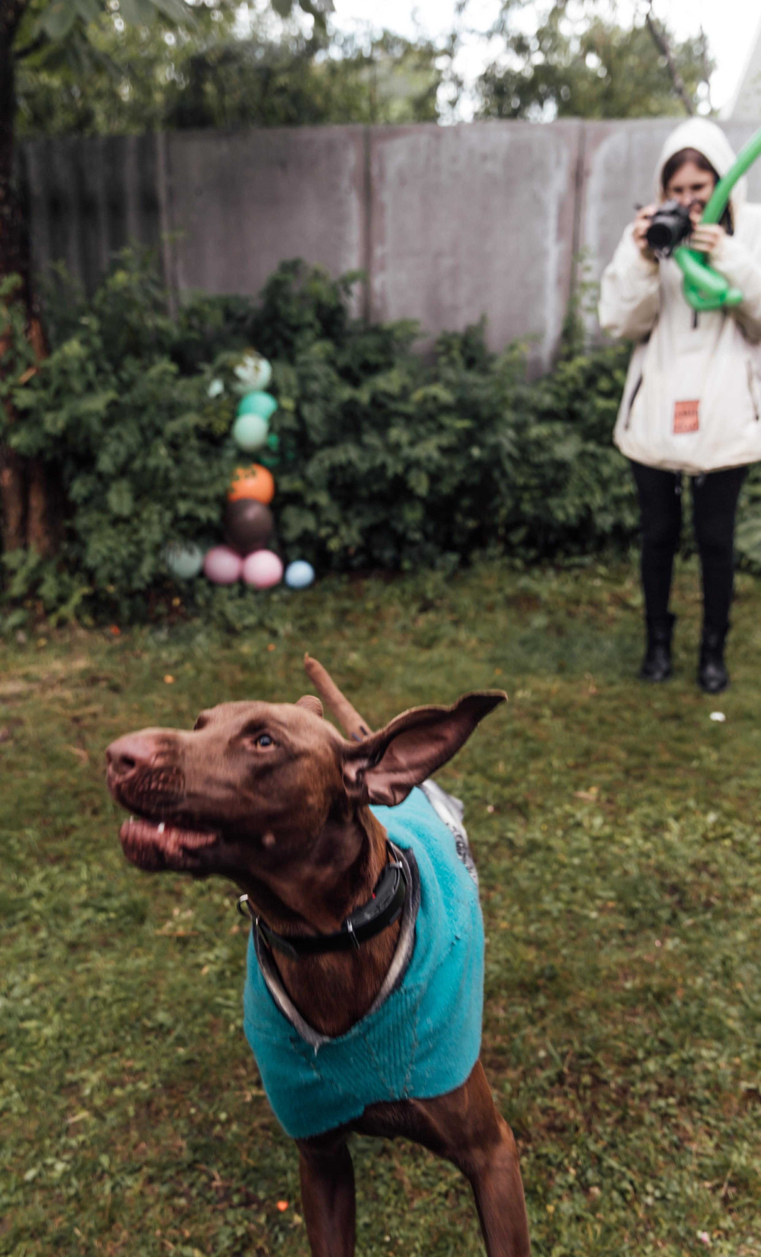 Детские дни рождения. Семейный фотограф в Санкт-Петербурге Алиса Мохова