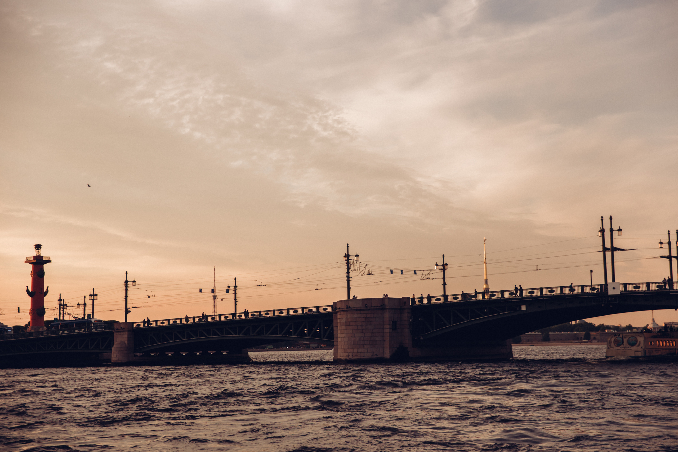 Мероприятия, банкеты. Семейный фотограф в Санкт-Петербурге Алиса Мохова