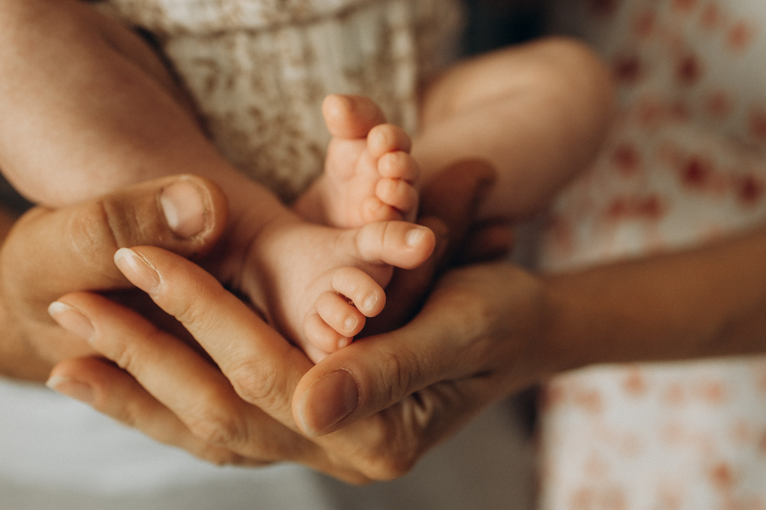 фотосессия новорожденного, фотосессия новорожденных, ньюборн, пушкин, павловск, спб, семейная фотосессия