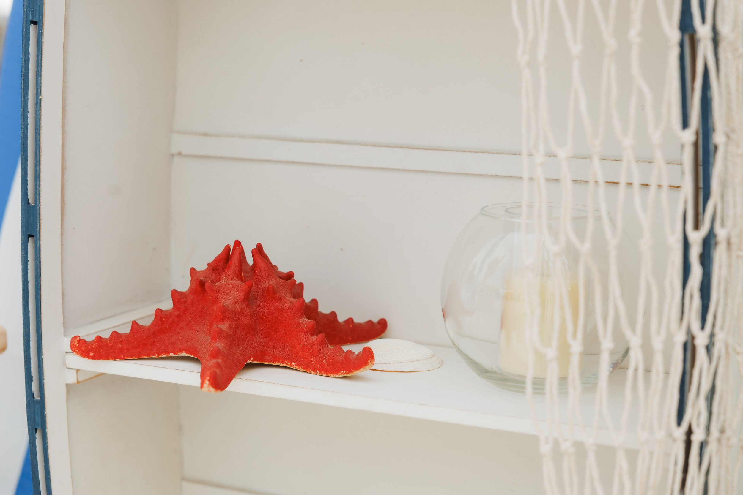 Регаты. Репортажный и свадебный фотограф Катерина Потапова