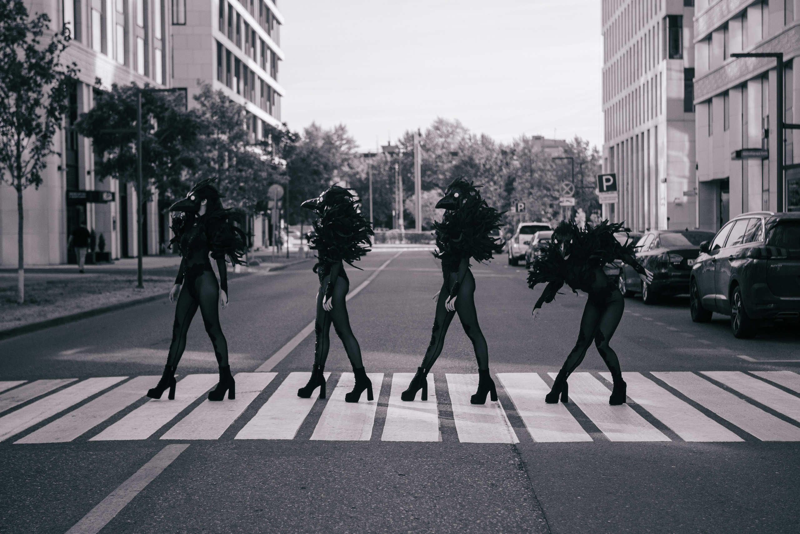 Вороны Circus Zone. Фотограф / видеограф в Москве и Сочи Sofia Riversong