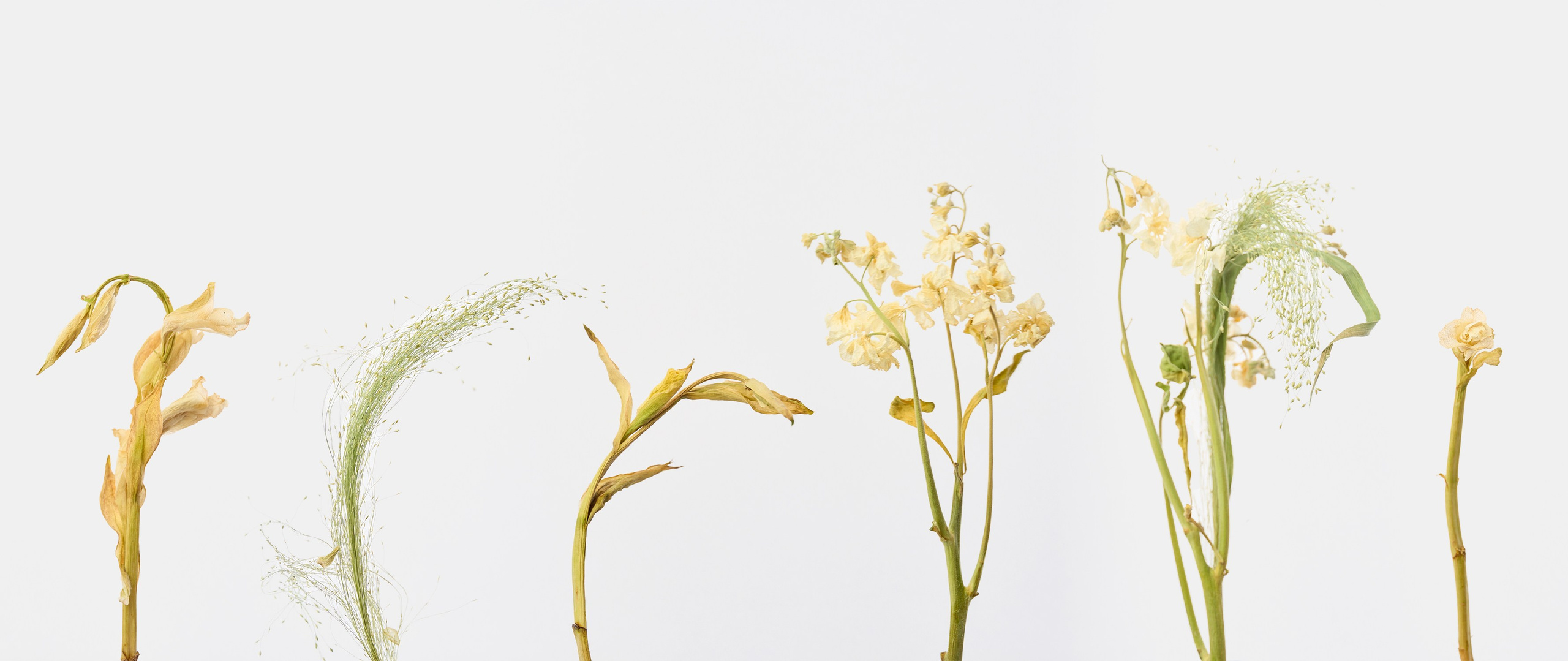 Photographer Pavel Romashchenko