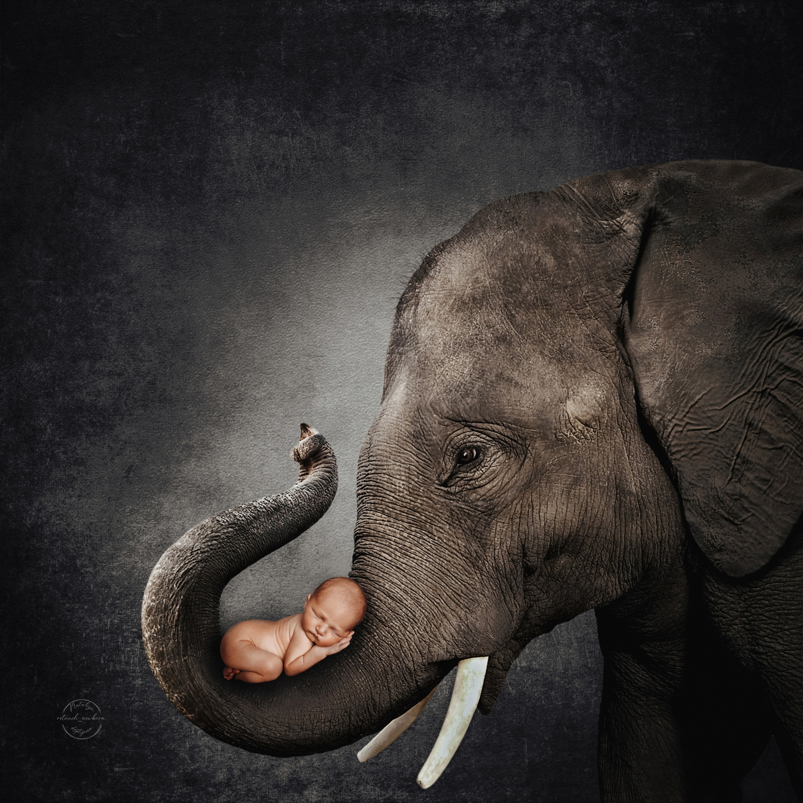 Слон. Ретушь новорожденных, обучение ретуши новорожденных, Наталия Коптяева