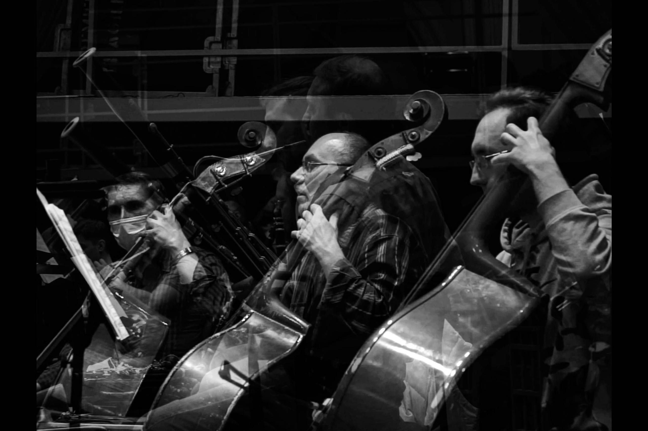 Vivo: музыка есть жизнь / Vivo: music is life. Кир Анисин. Режиссер & фотограф