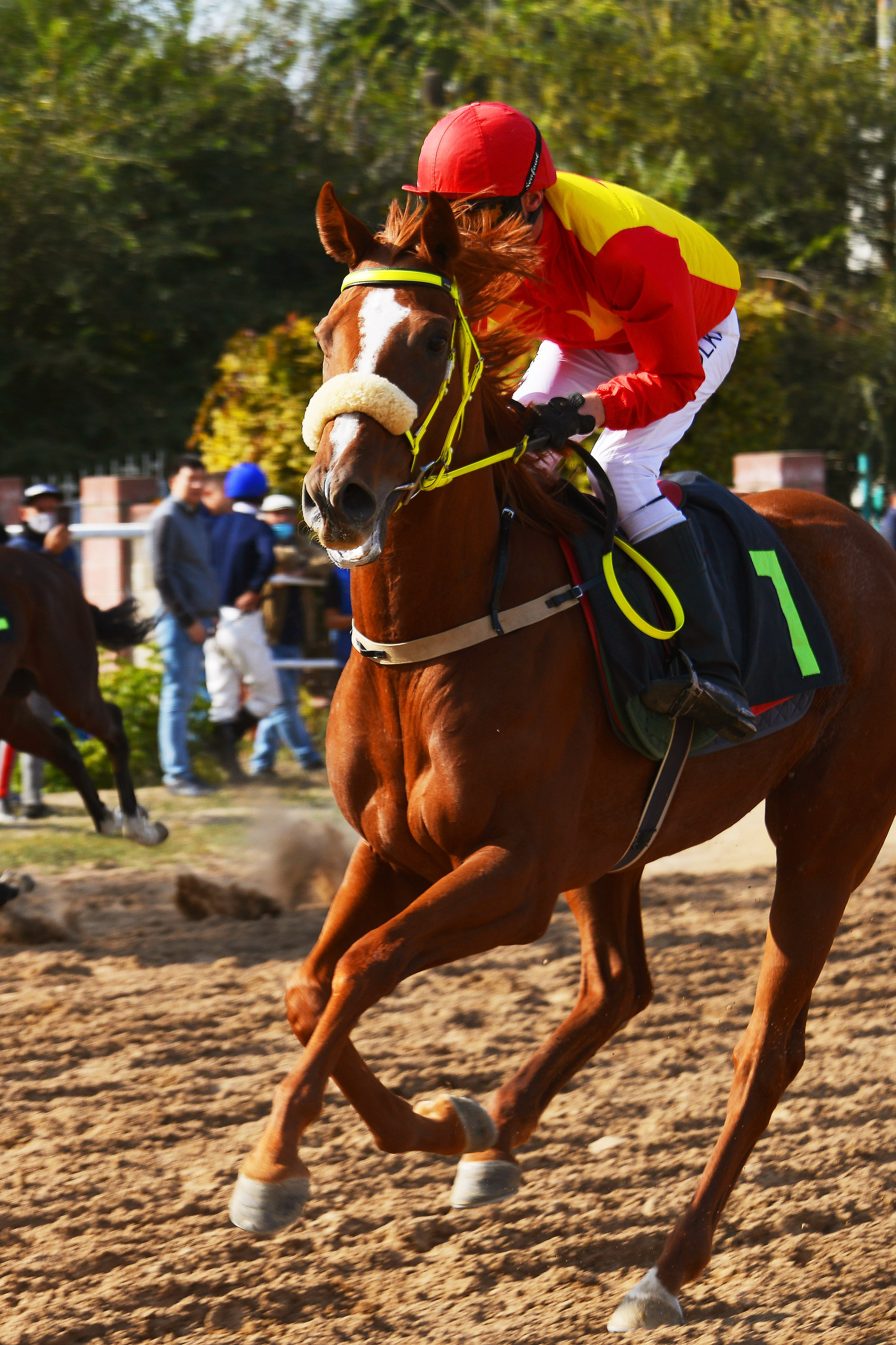 Скачки. Фотосъёмка. Фотограф Сергей Авдеев-семейный и детский фотограф в Алматы