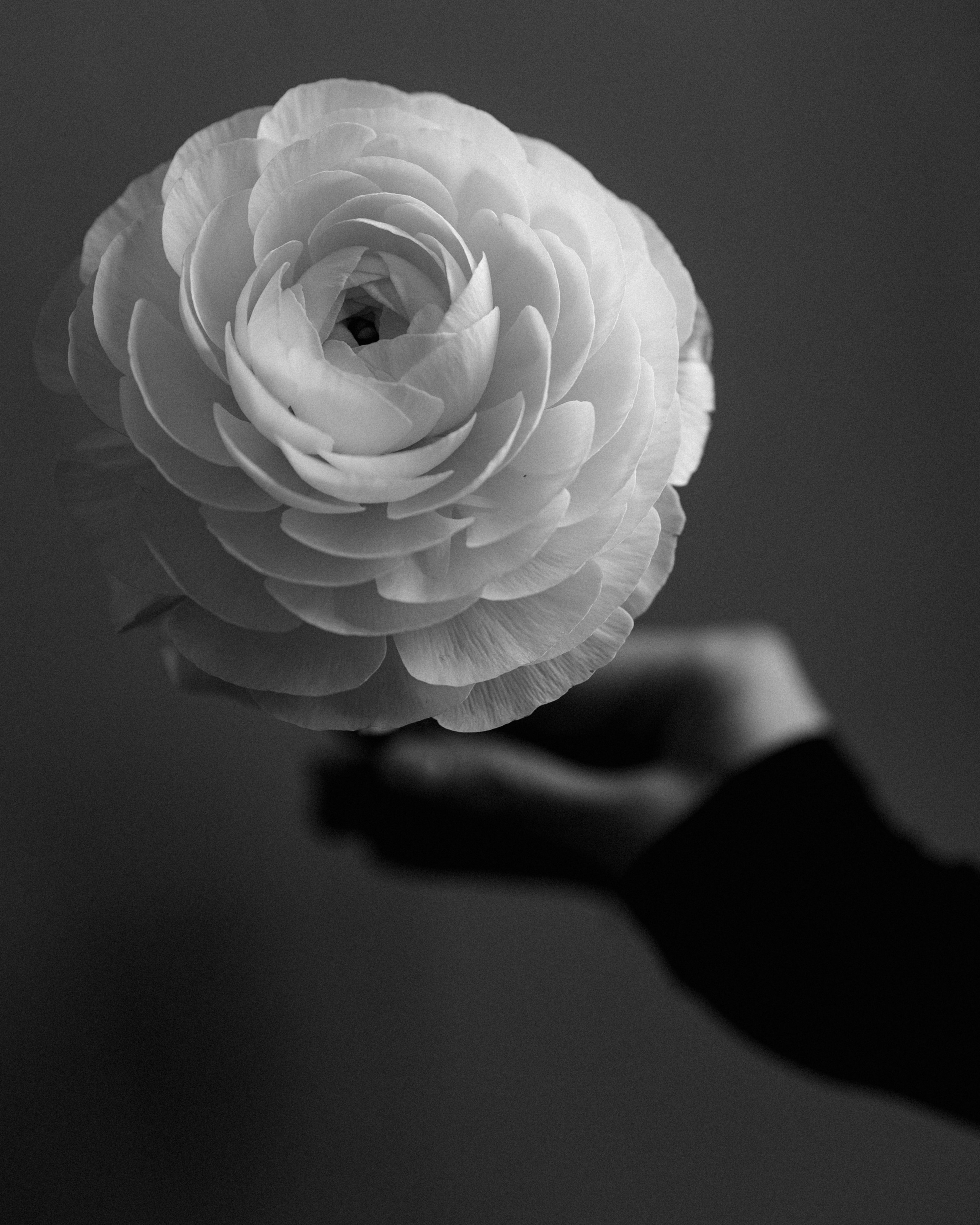 Айтадж. Портретный фотограф Дорошко Анастасия