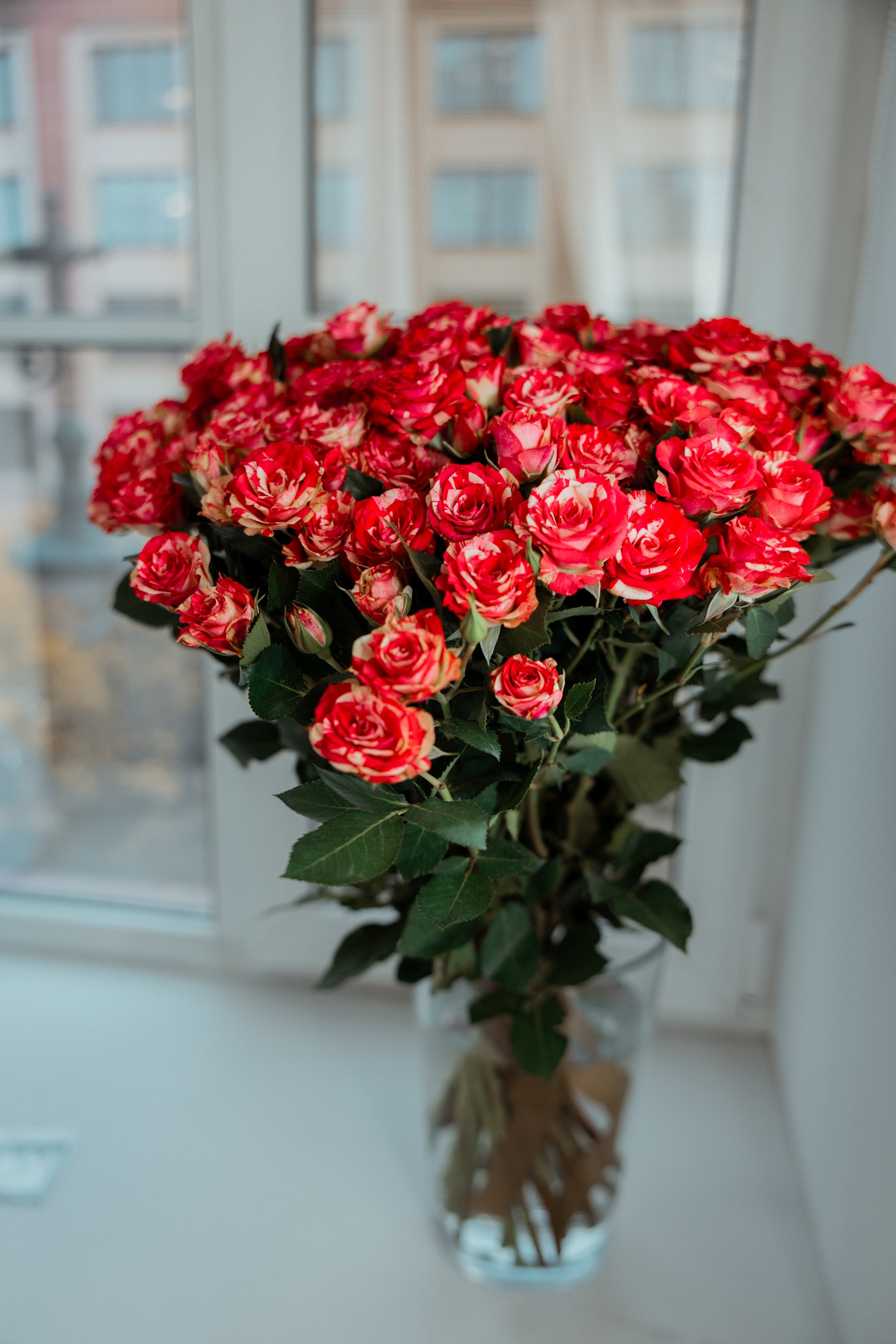 Фотосессия выписки из роддома на Фурштатской. Татьяна Нагорнова — семейный фотограф в Санкт-Петербурге