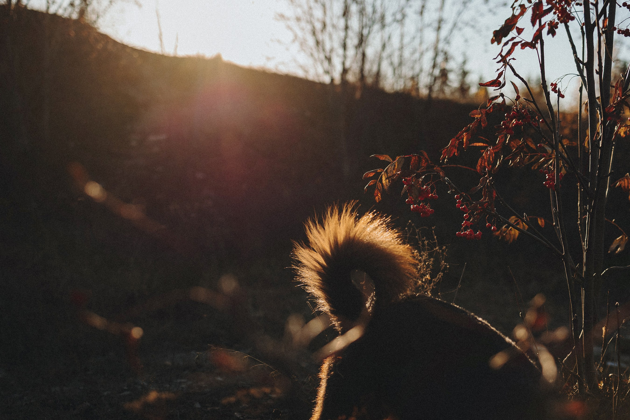 Марина и Ёлка. Фотограф Наталья Потапова