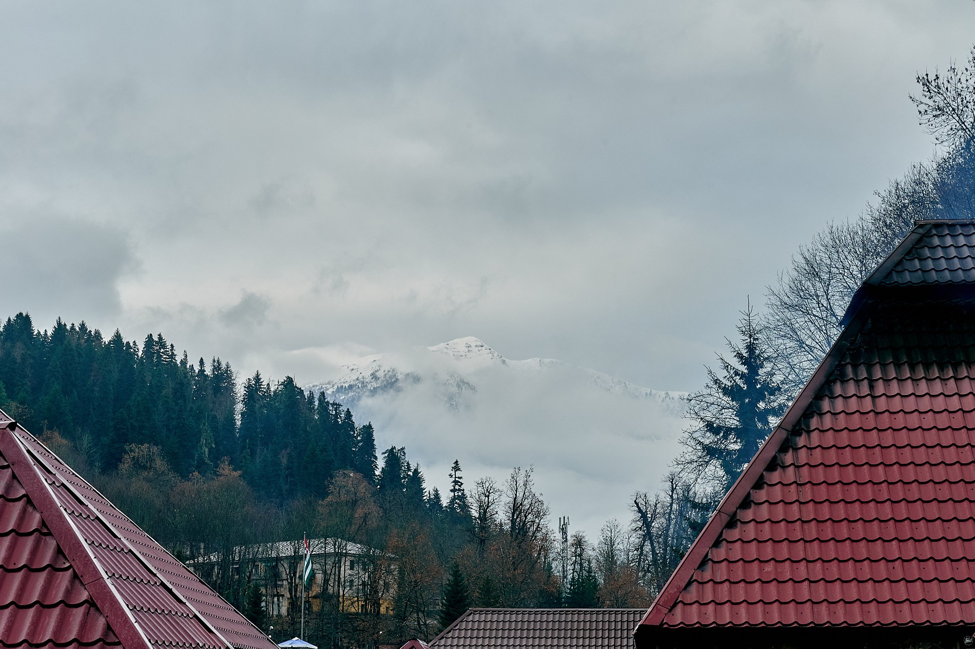 Озеро Рица, Абхазия. Декабрь 2024. Фотографии отовсюду и обо всем