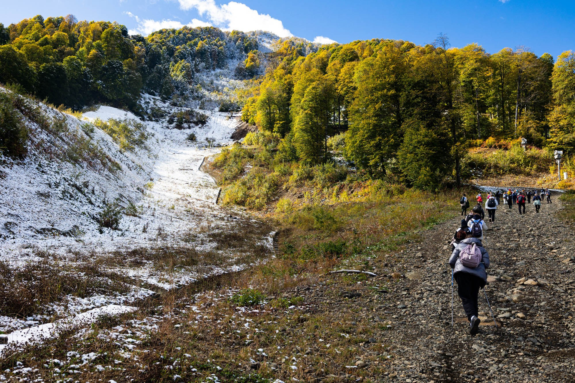 Детский лагерь ФОКС КЭМП. Фотограф Красная Поляна — Сочи — Москва