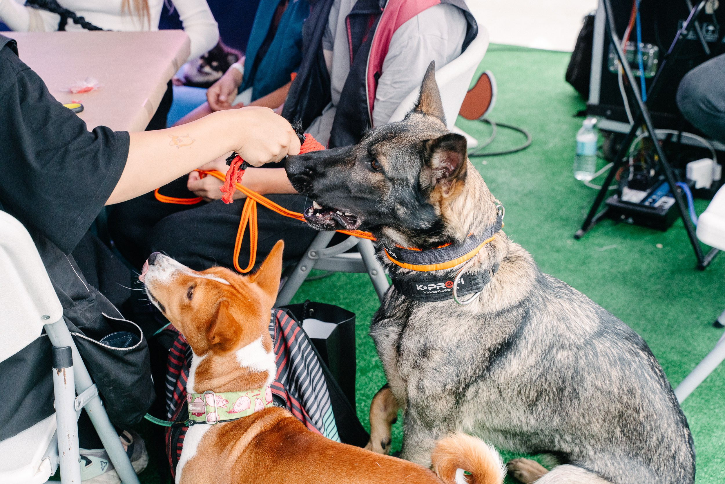 Фотограф Москва и Московская область. Фотосъёмка, видеосъемка массовых мероприятий, reels