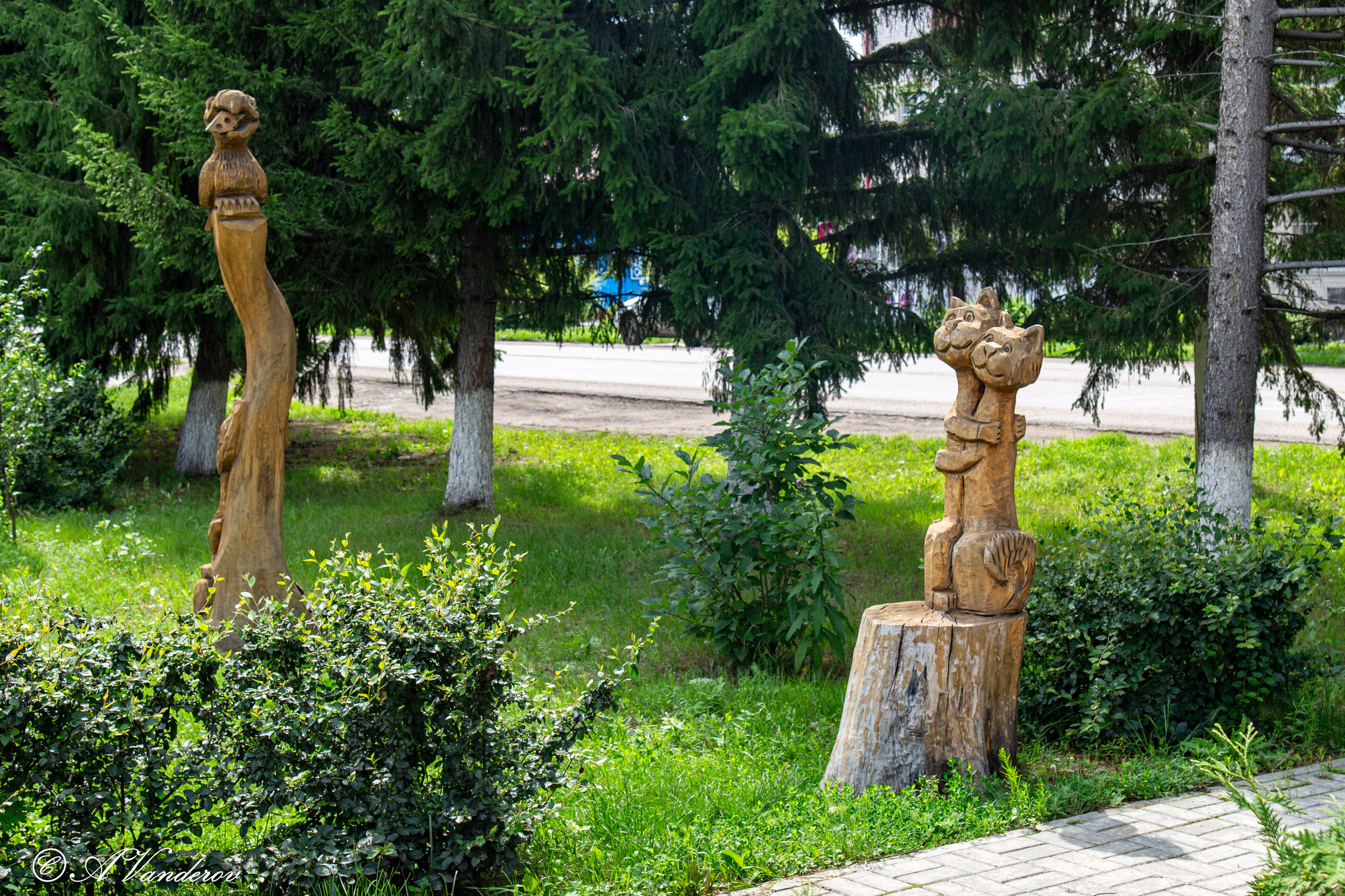 Калачинск 07.07.2024. Фотограф Омск | Александр Вандеров