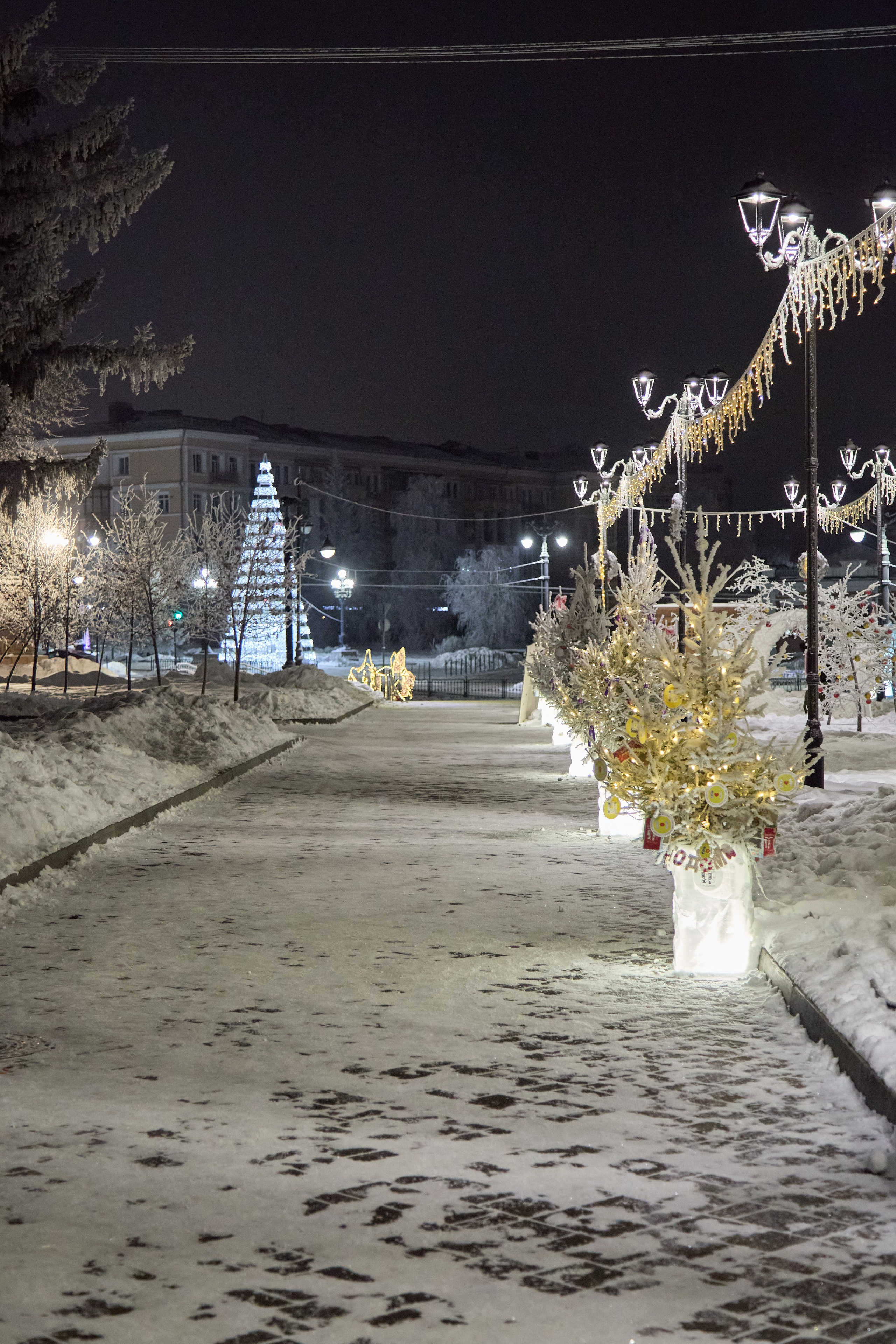 Новогодний Омск 2025. Фотограф Омск | Александр Вандеров