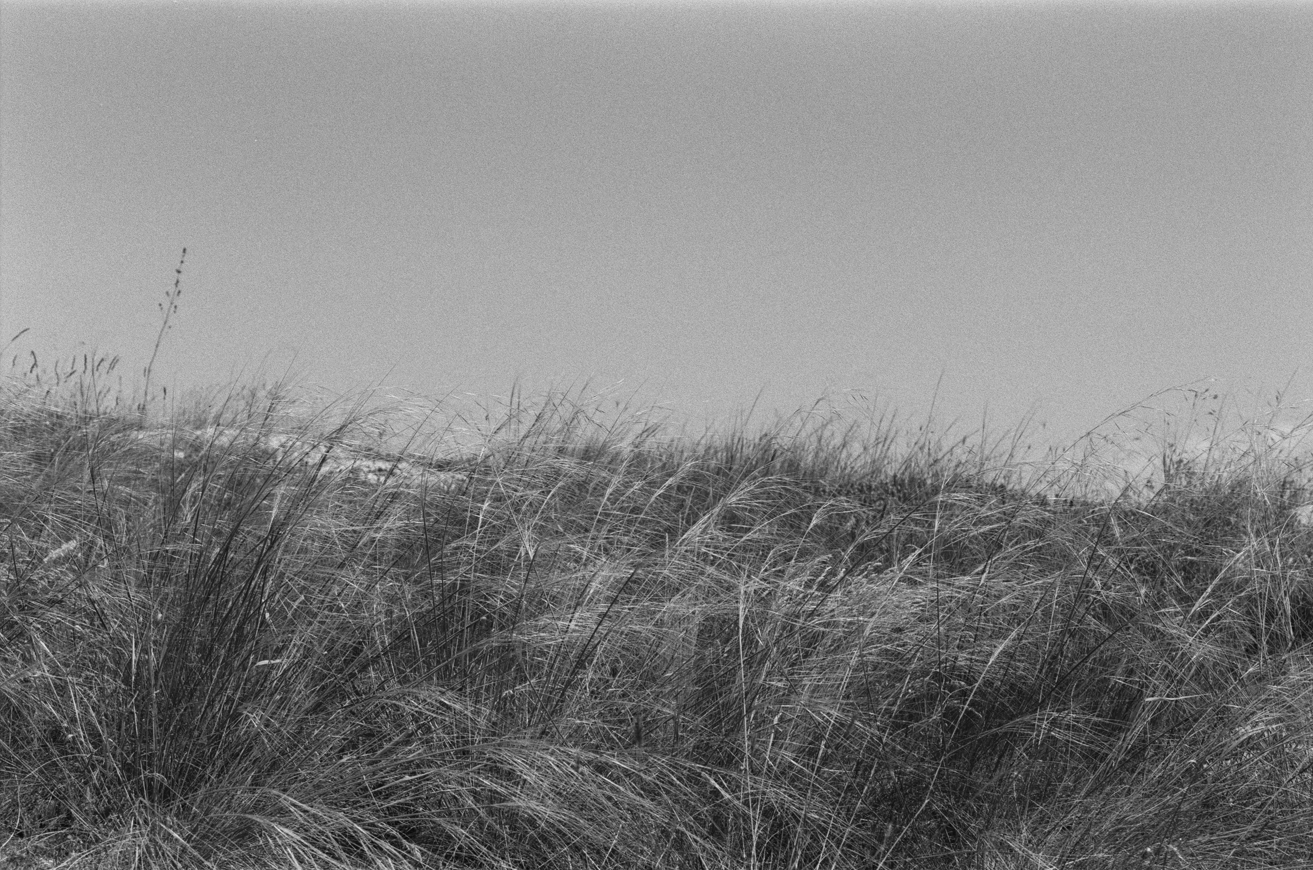 Move me // ukraine, crimea IV. EVER EXPOSED