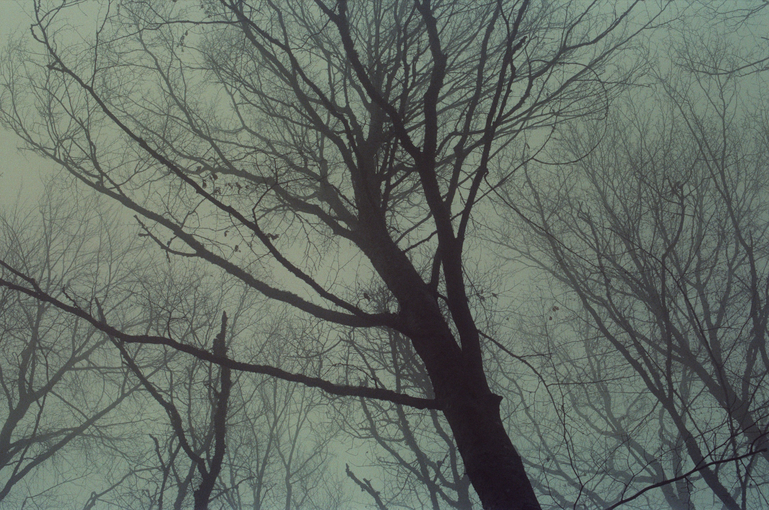 Some kind of madness // ukraine, crimea. EVER EXPOSED