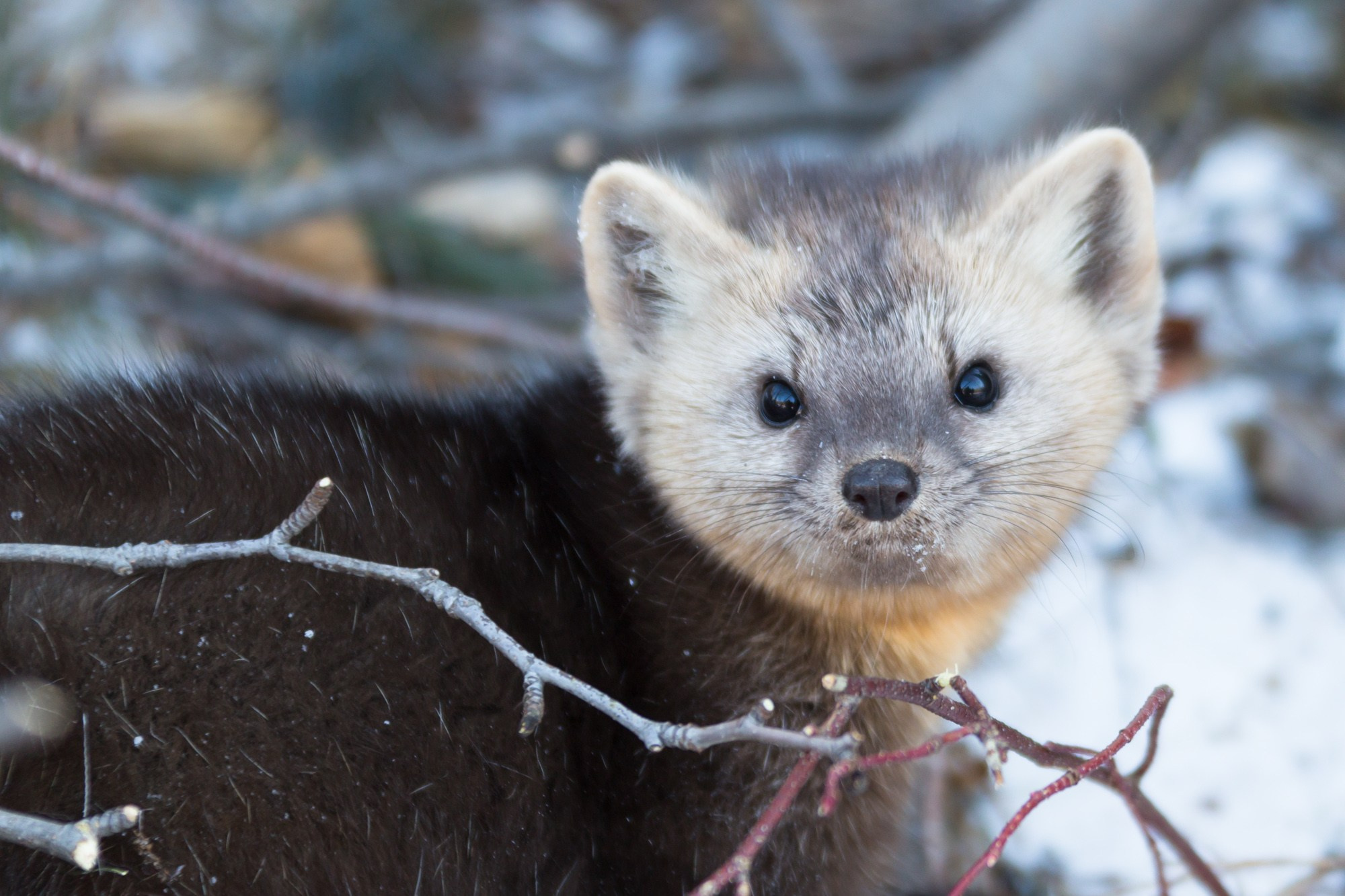 Якутия. Фотограф Алексей Скоробогатько