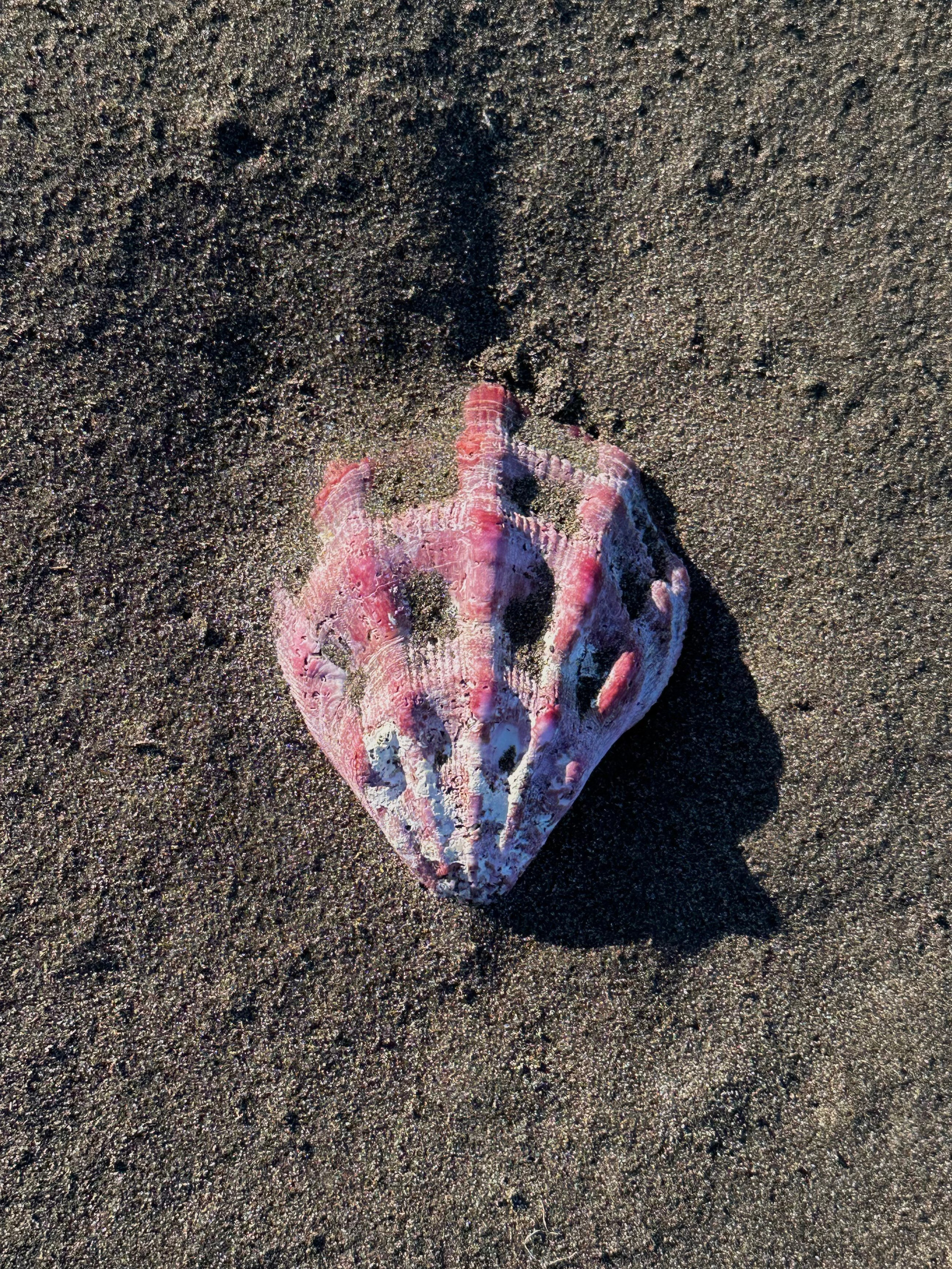 EXHIBITION. Репортажный и интерьерный фотограф, фотохудожник