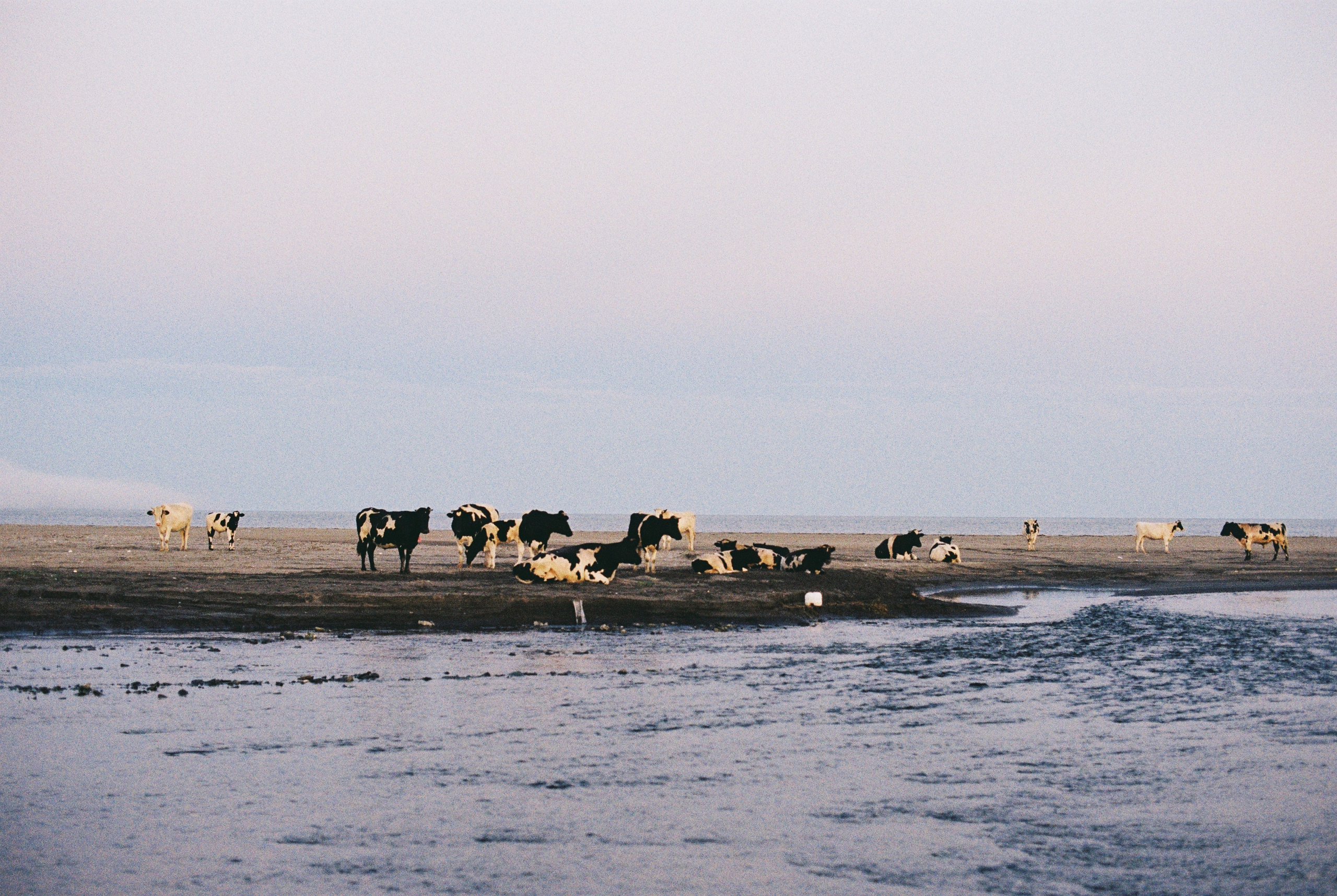 EXHIBITION. Репортажный и интерьерный фотограф, фотохудожник