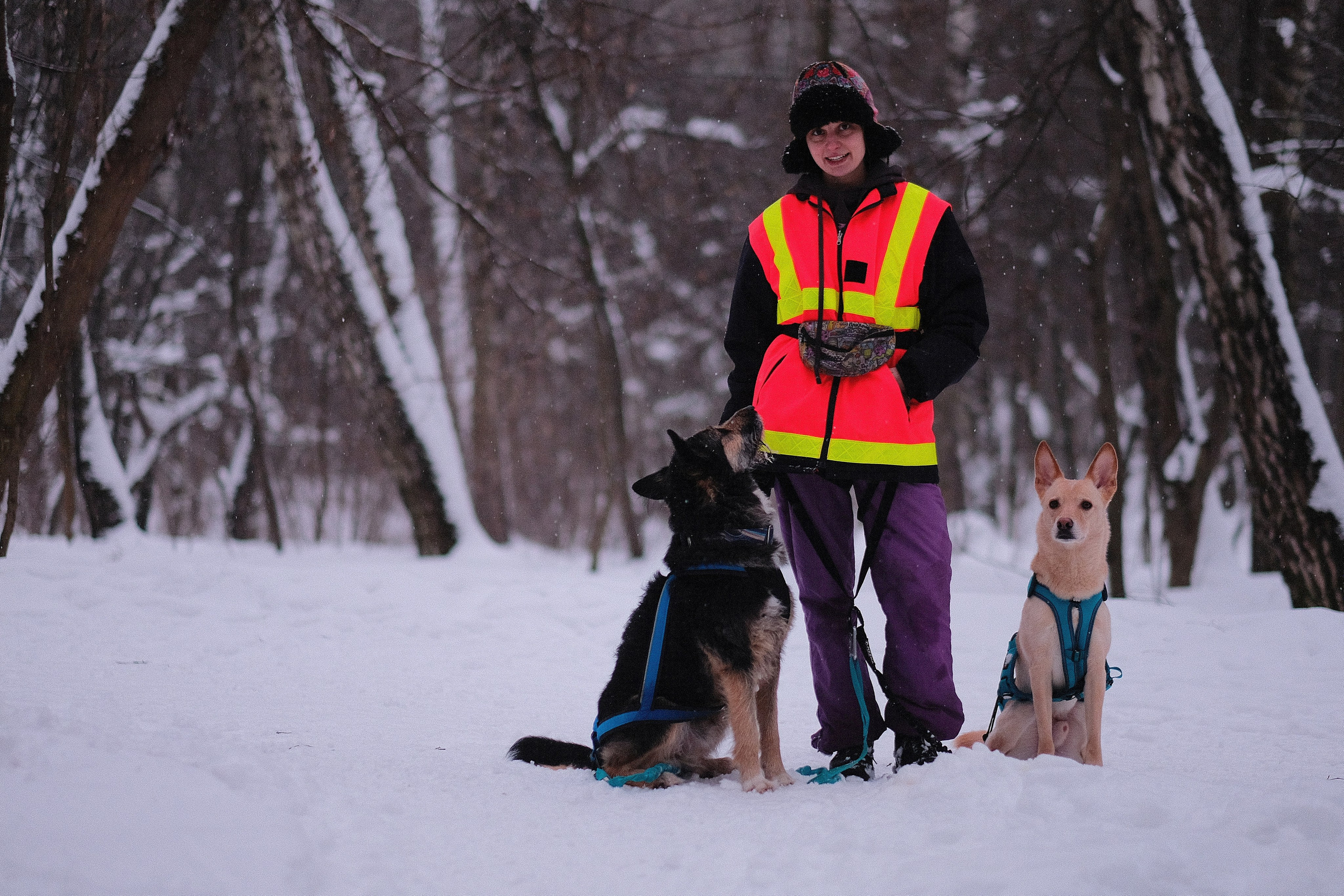 Рик, Листик и их Катя. Дмитрий Бречалов