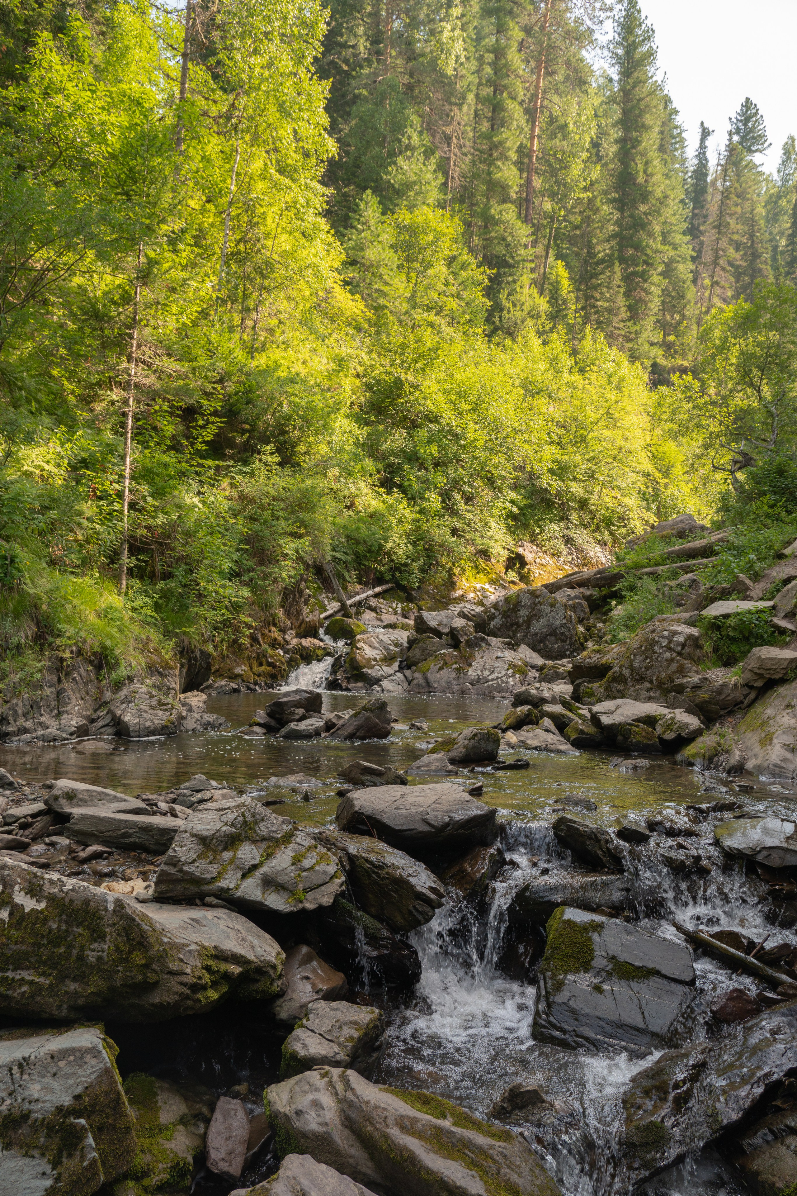 Алтай. Gusarov Travel Photography