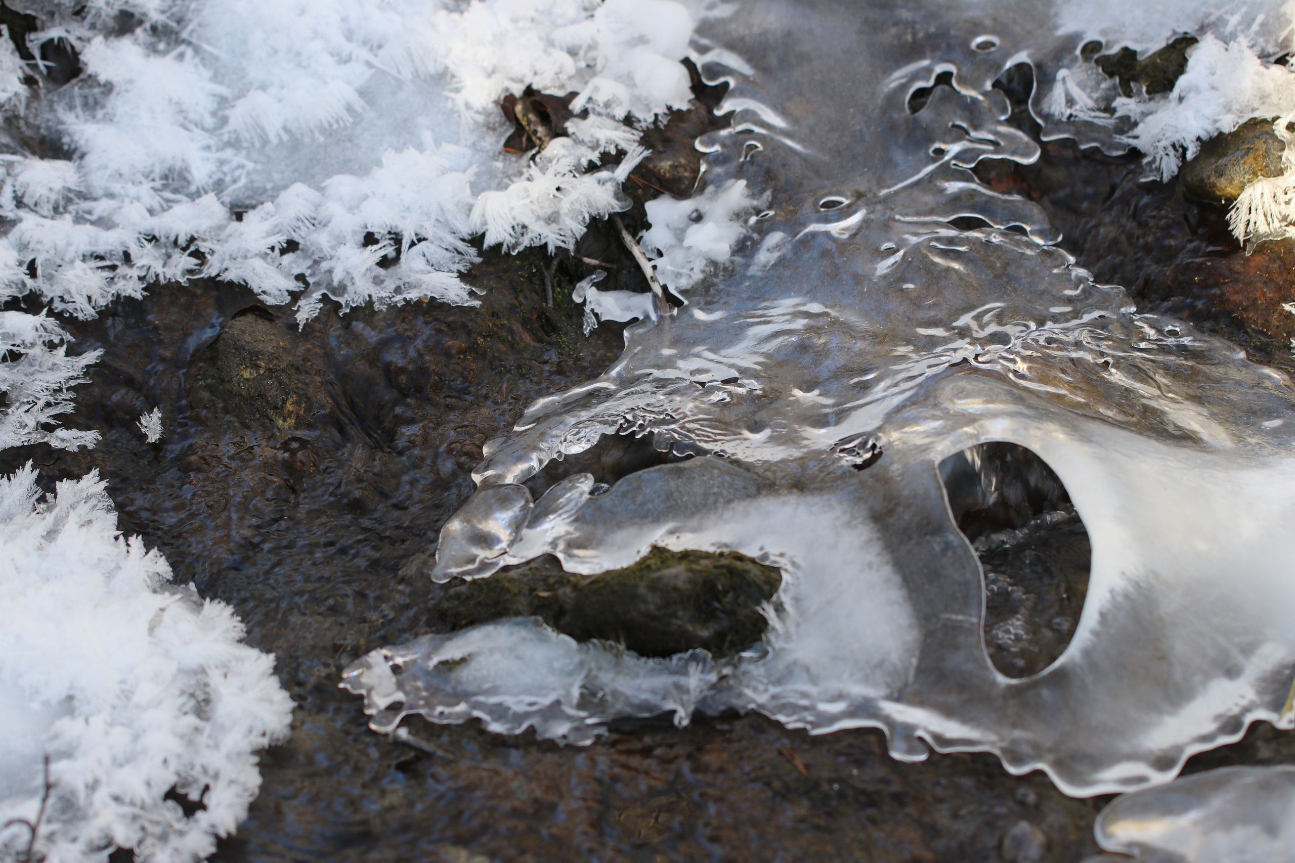 Аршан. Январь 2022. Путешественник-фотограф из Санкт-Петербурга Татьяна Свистулина