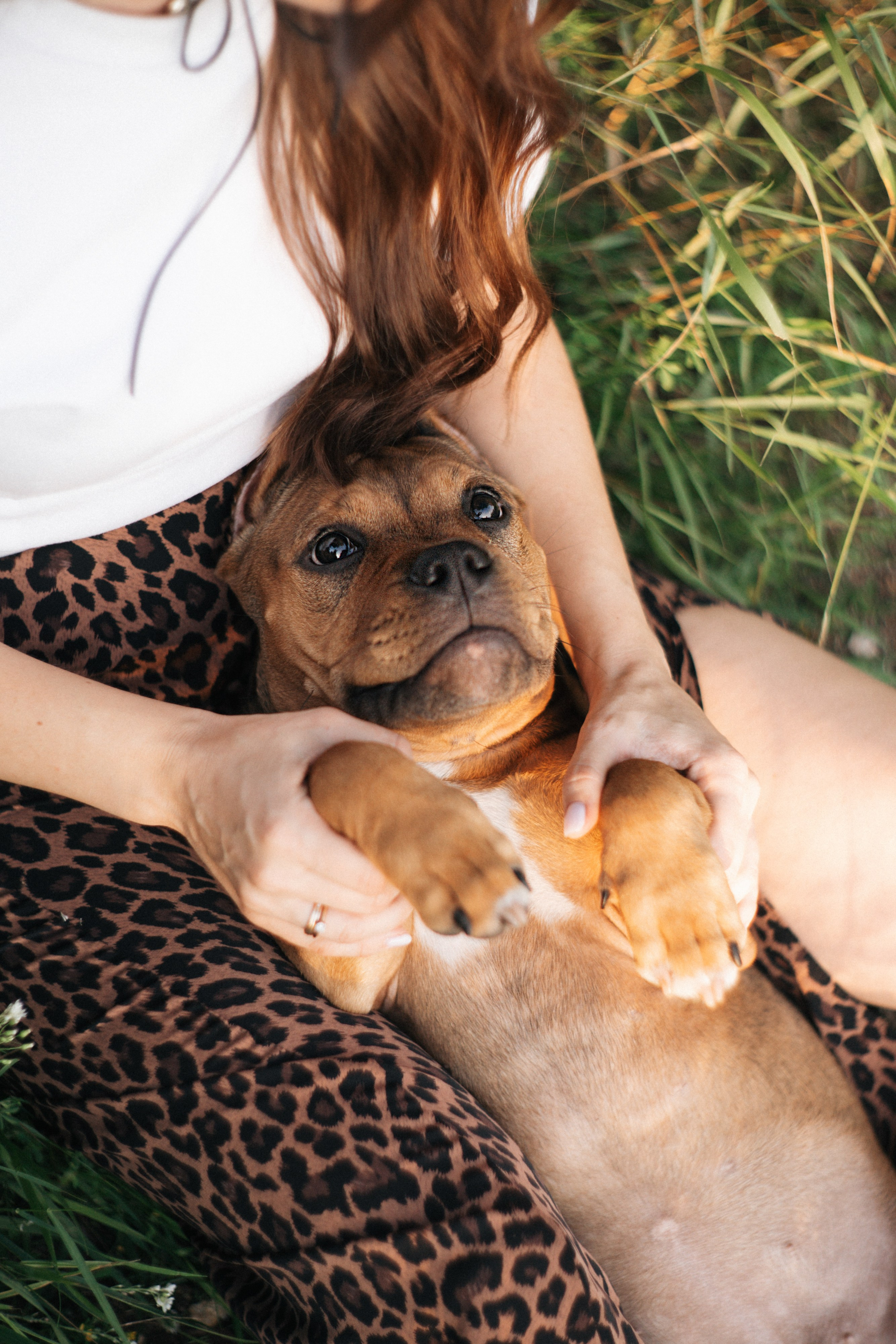 Кристина и Эфи. Фотограф анималист в Москве и Санкт-Петербурге Свиридова Анна