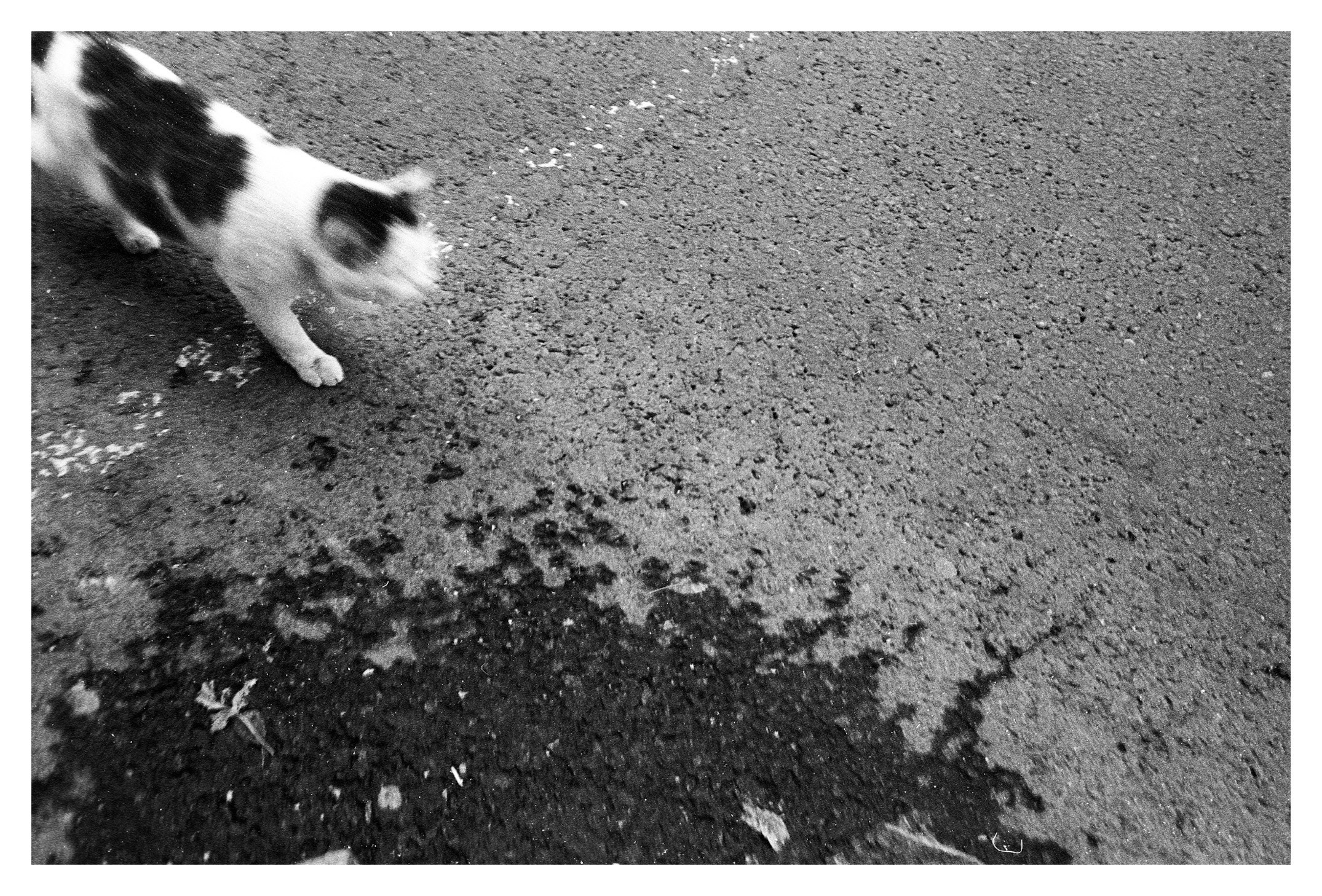 Автор: Никита Котельников