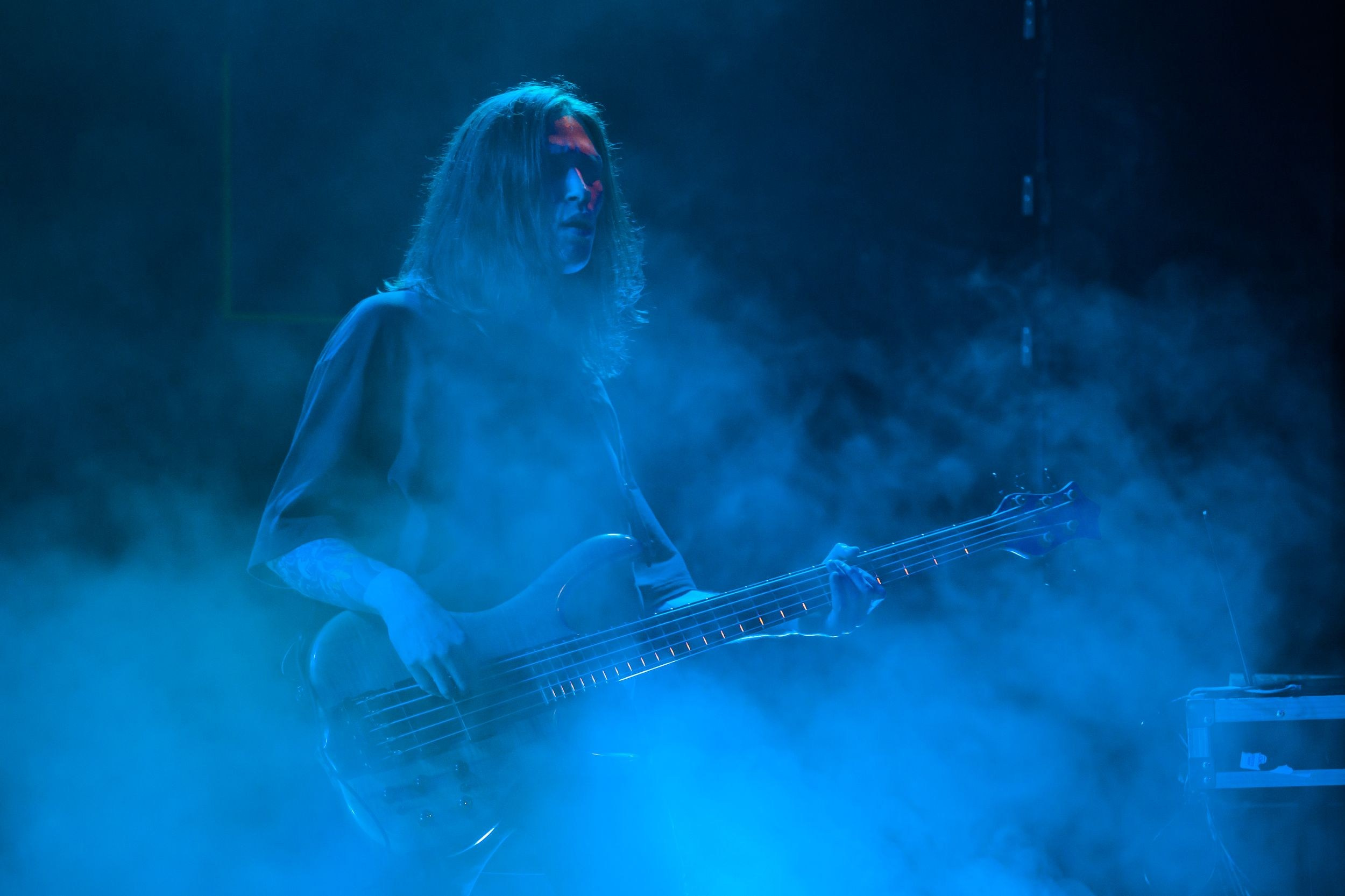 Animal ДжаZ. Репортажный фотограф Алексей Пирязев