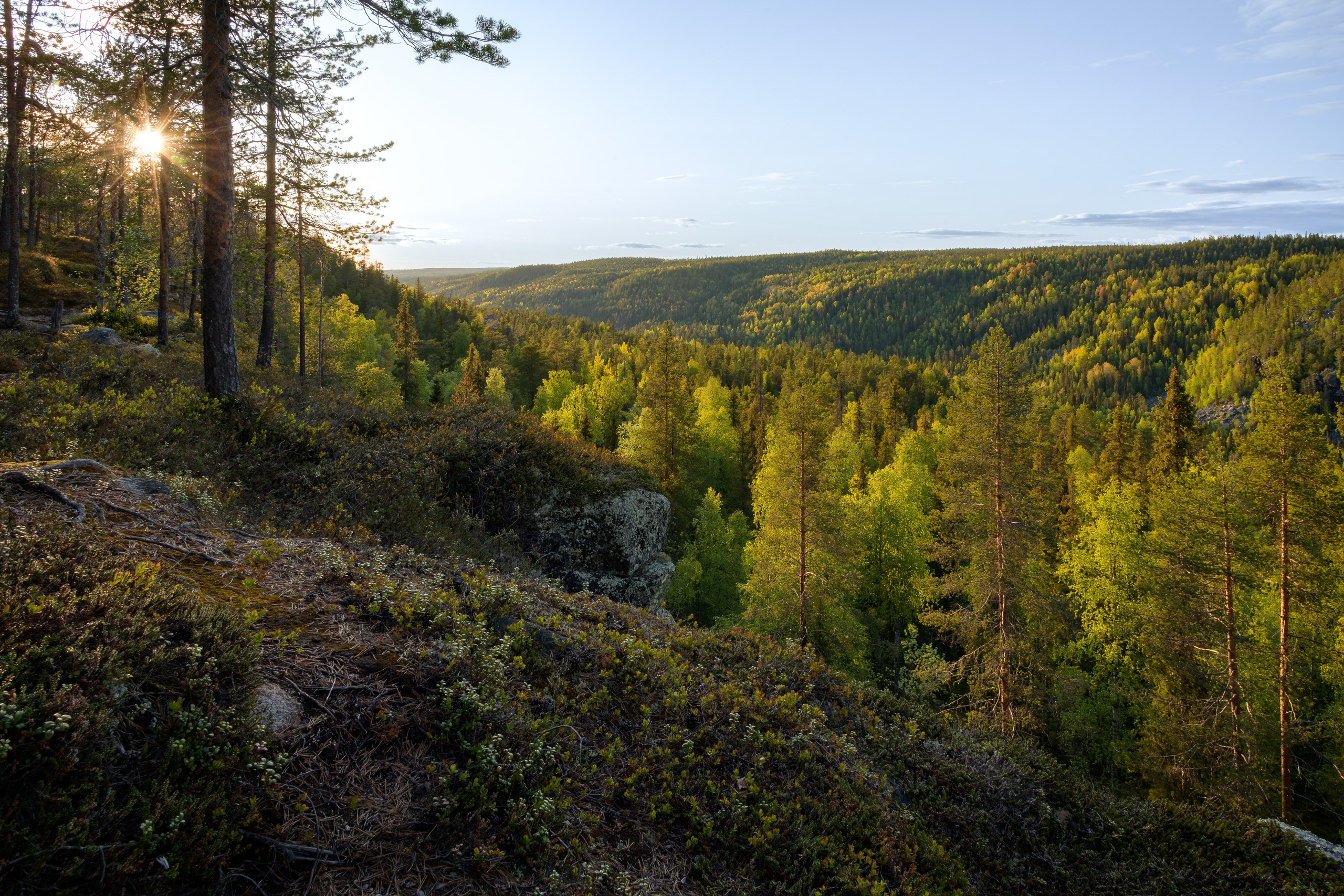 Лето. Северные Ночи