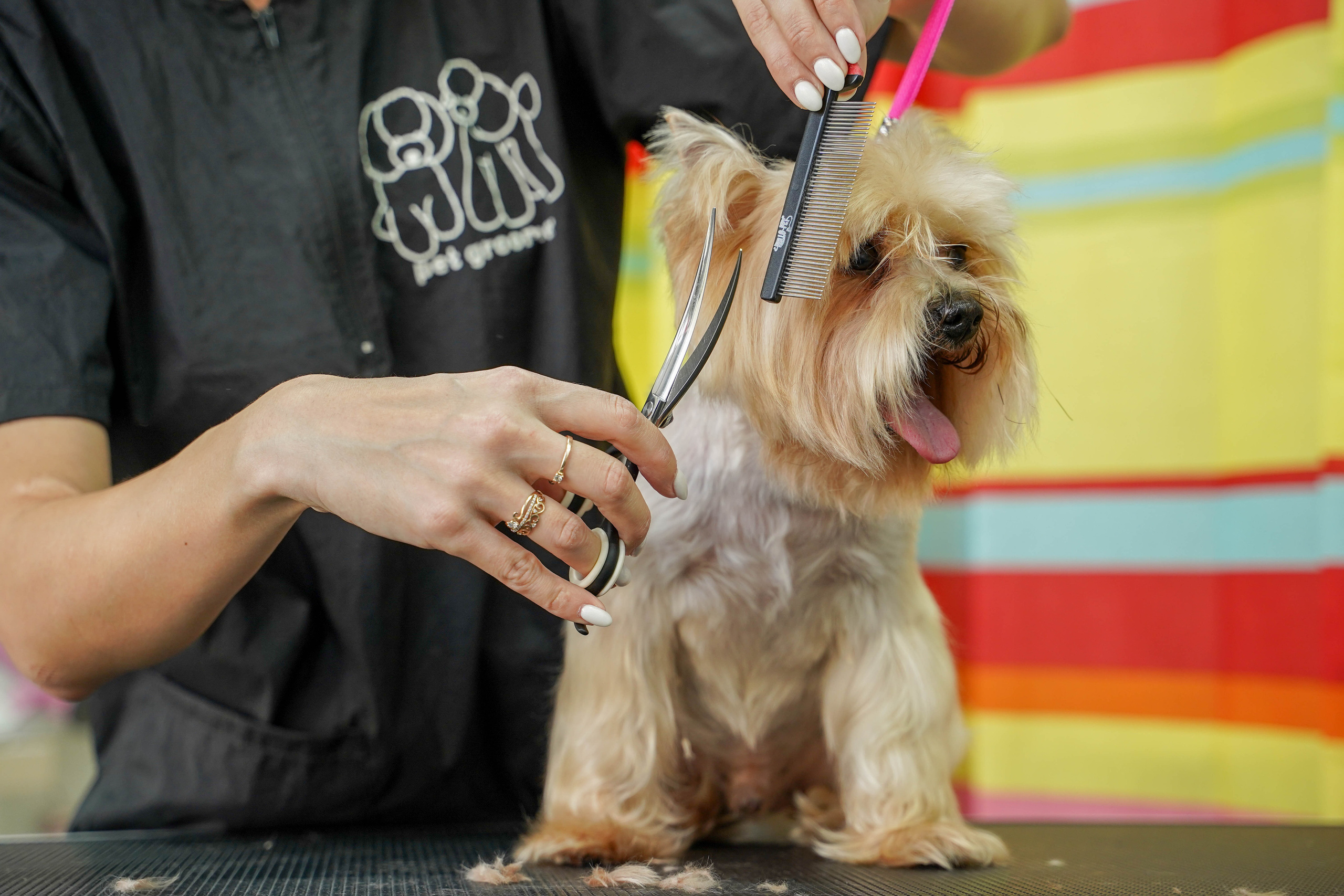 Грумер. Житкова Юлия фотограф в Санкт-Петербурге
