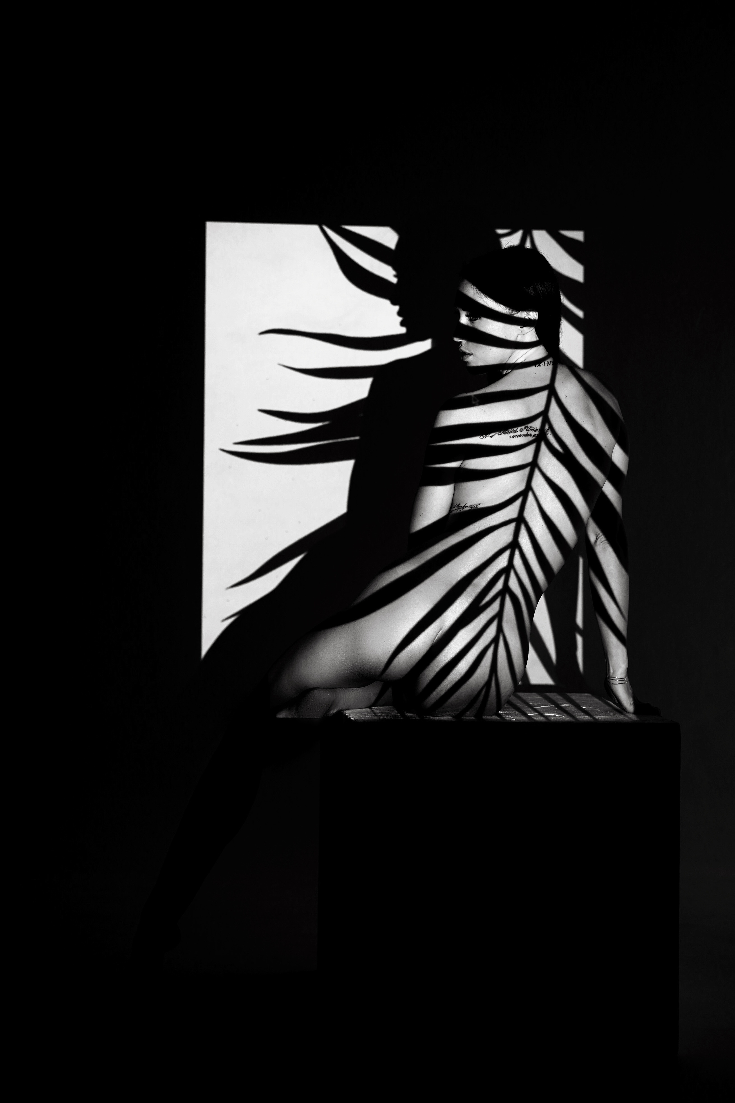 арт ню фотограф