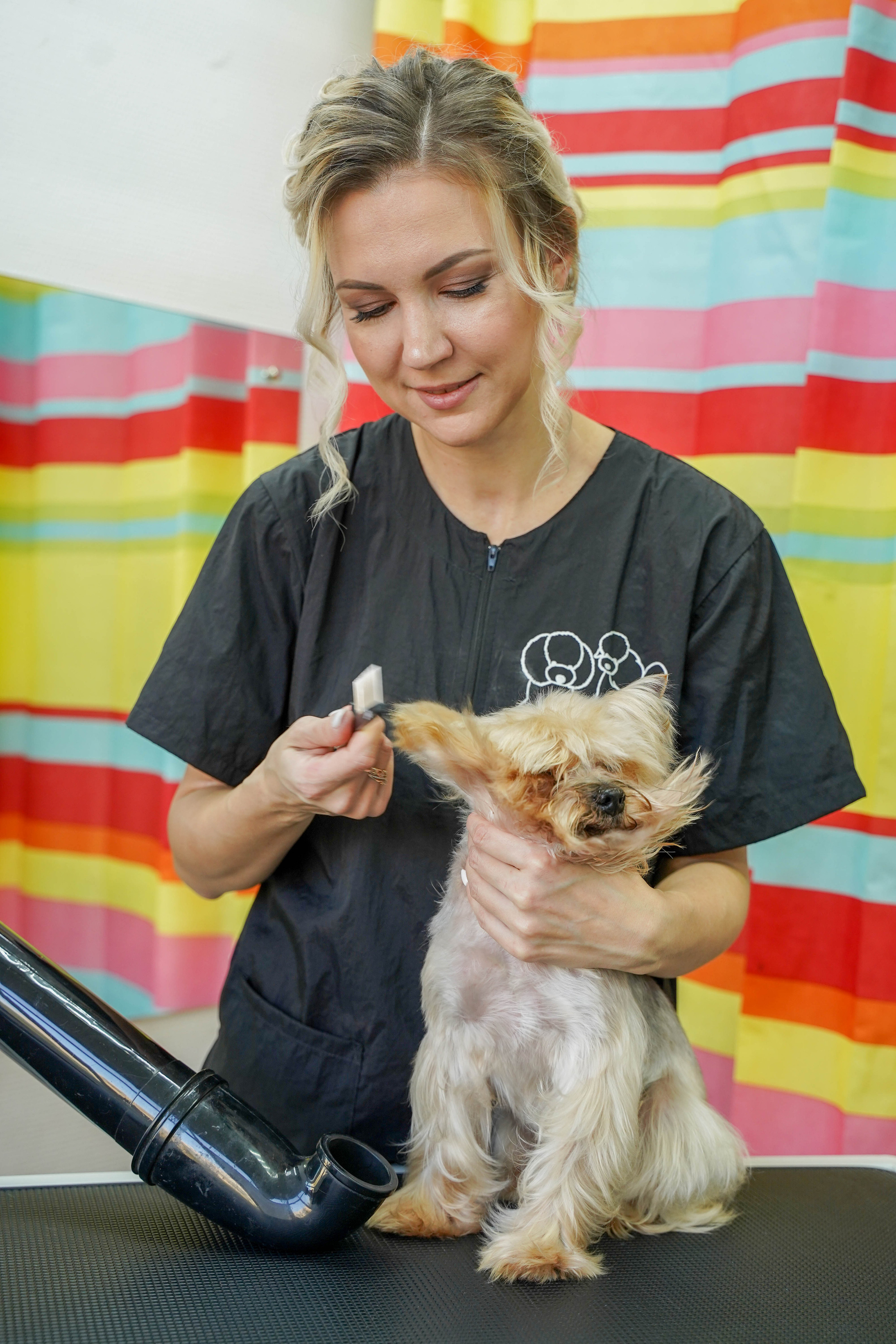 Грумер. Житкова Юлия фотограф в Санкт-Петербурге