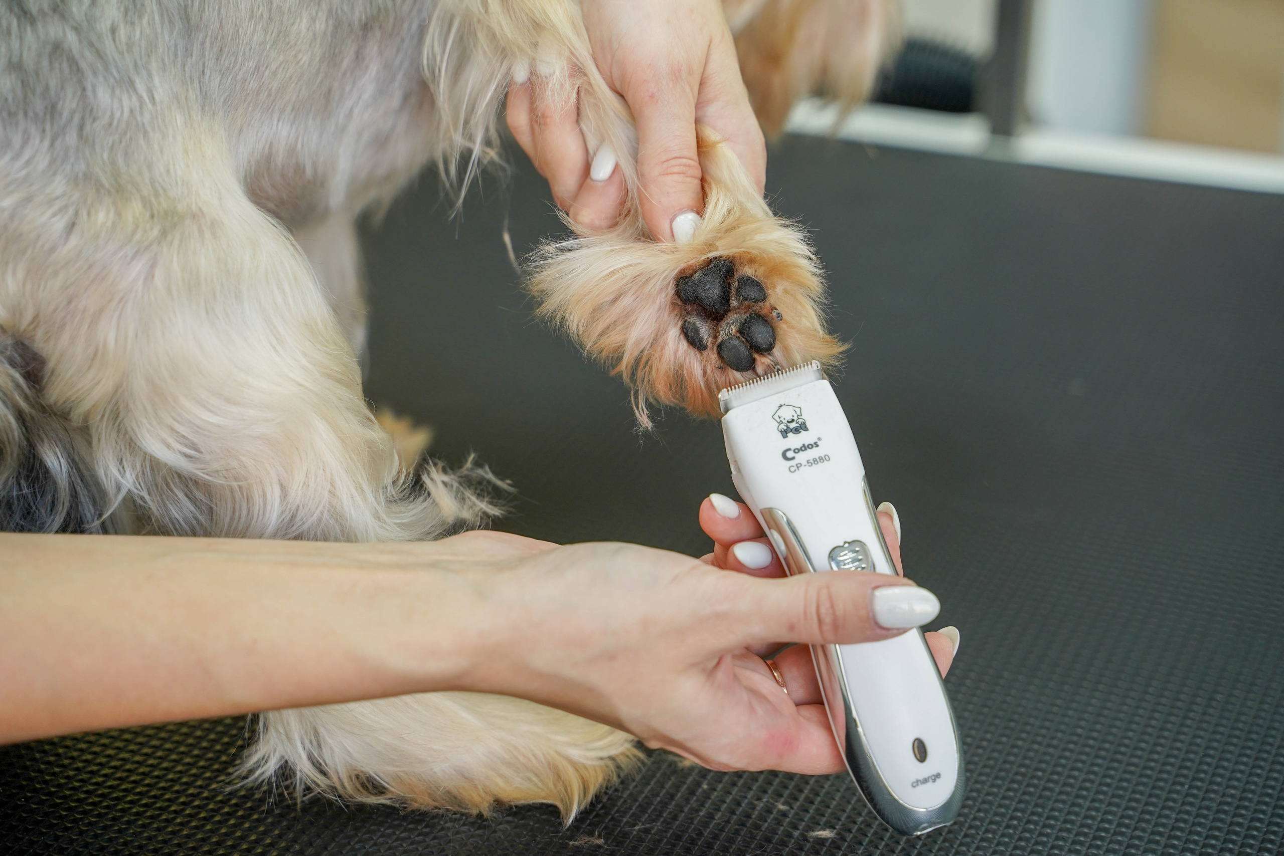Грумер. Житкова Юлия фотограф в Санкт-Петербурге