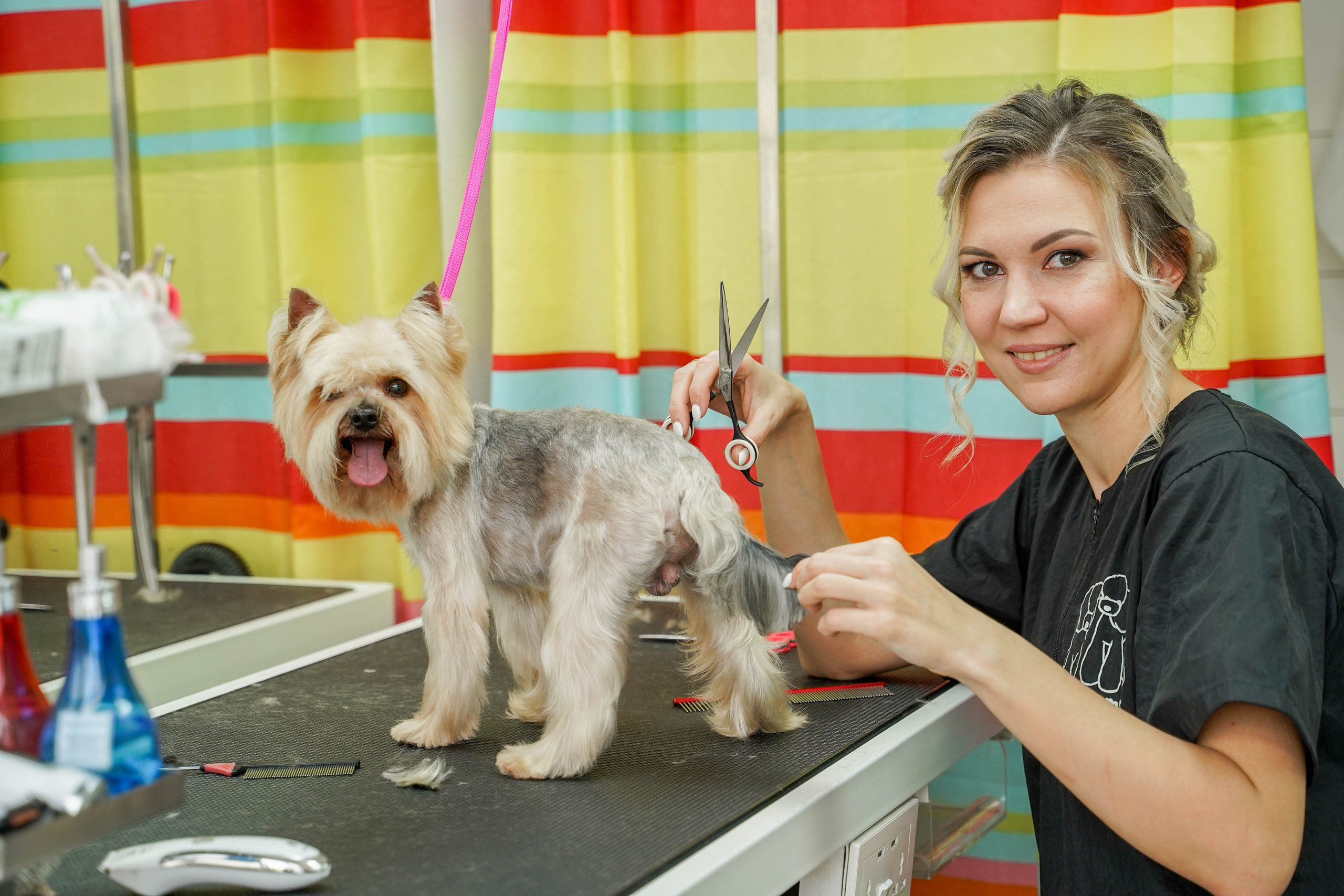 Грумер. Житкова Юлия фотограф в Санкт-Петербурге
