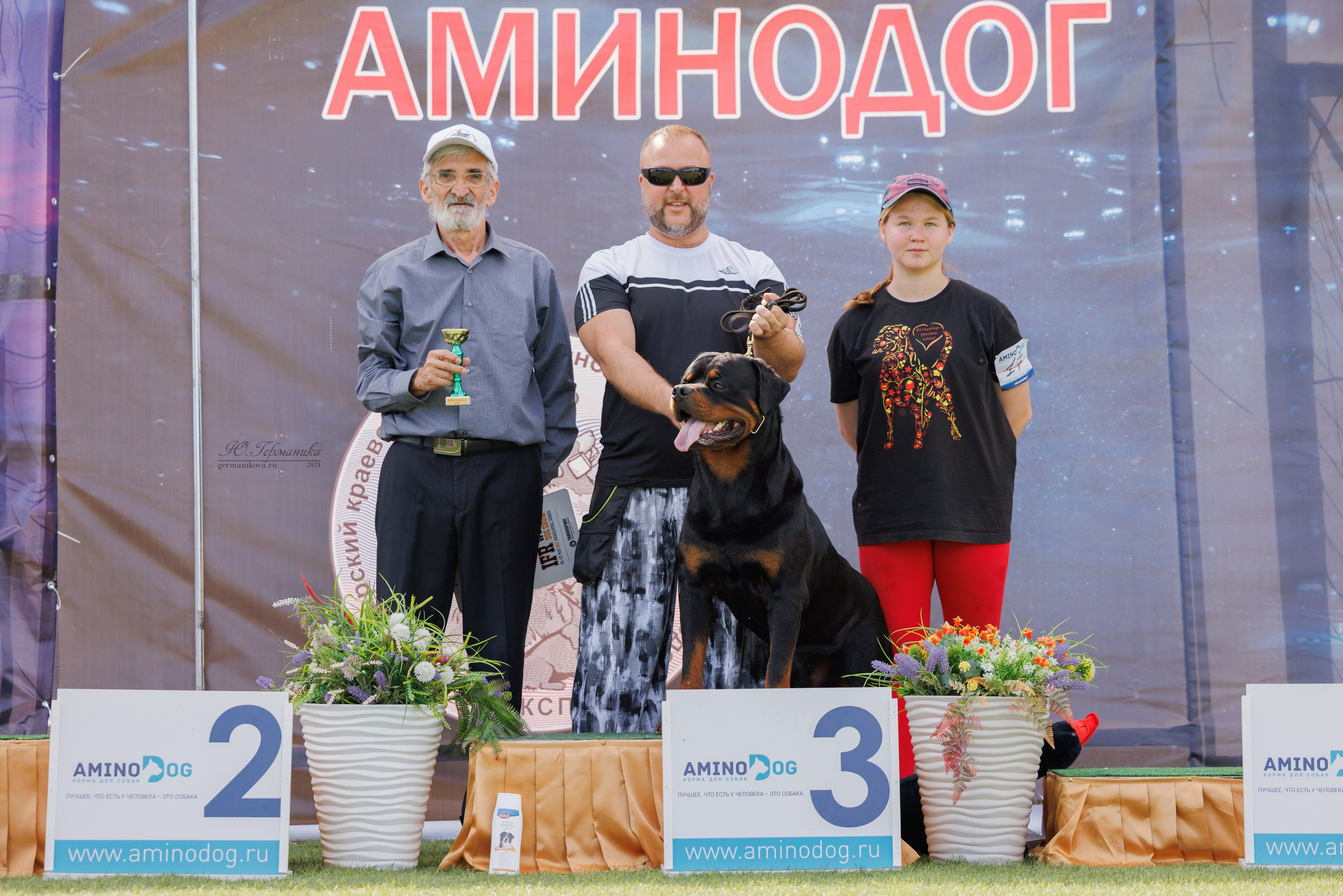 Анапа ротвейлеры 14-15.09.2024. Фотограф-анималист Юлия Германика