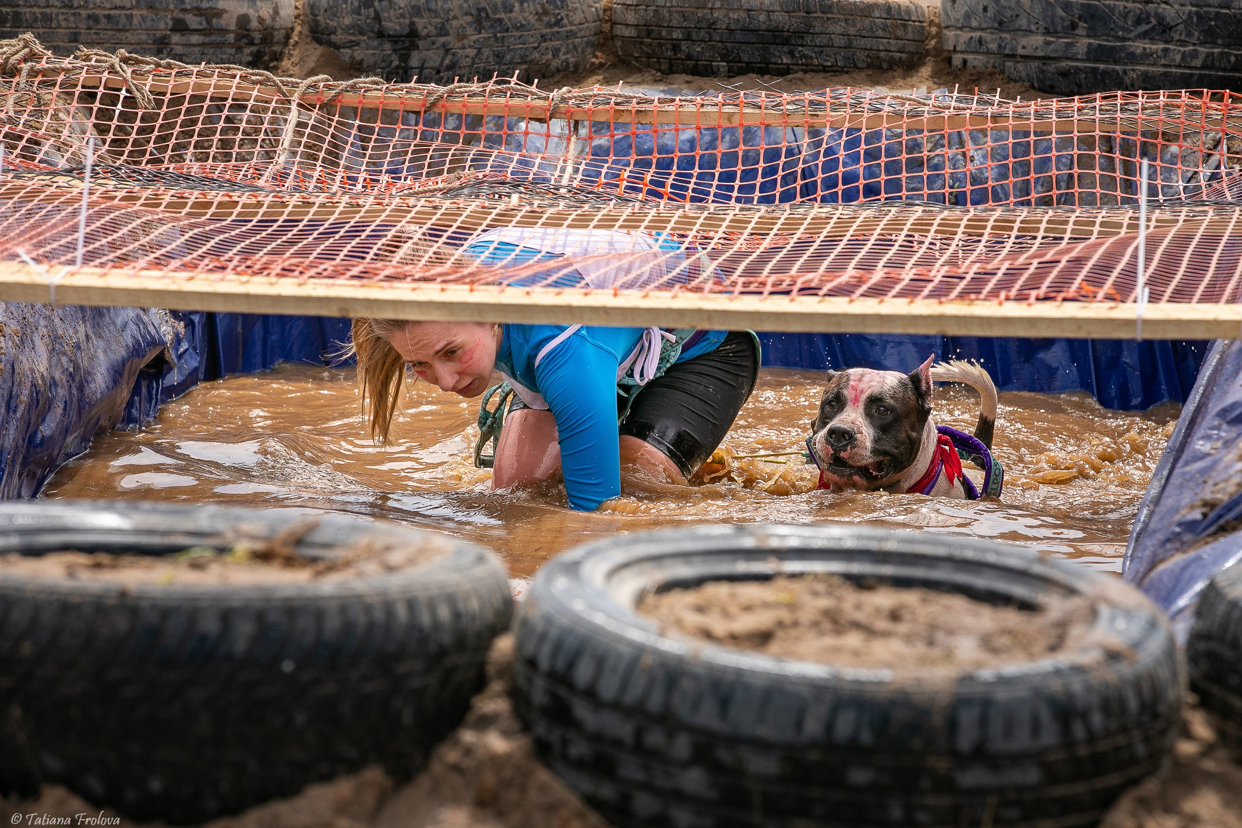 Фоторепортаж с забега с собаками. Фотограф-анималист в Москве и Московской области Татьяна Фролова