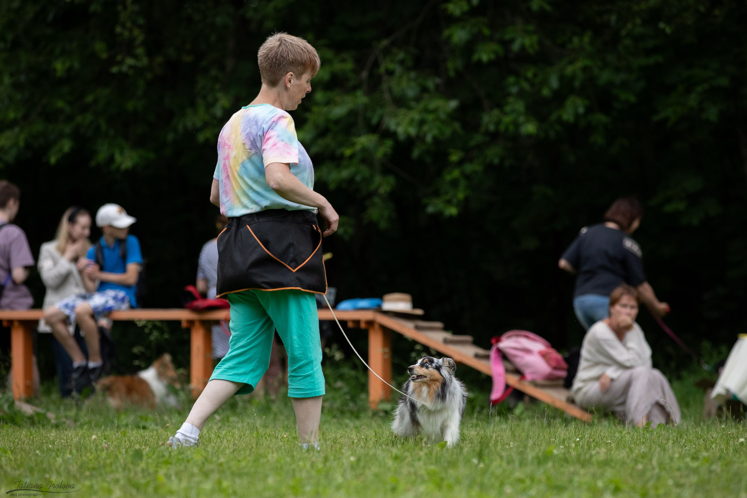 Репортаж с выводки молодняка колли/шелти в Ясенево. Фотограф-анималист в Москве и Московской области Татьяна Фролова