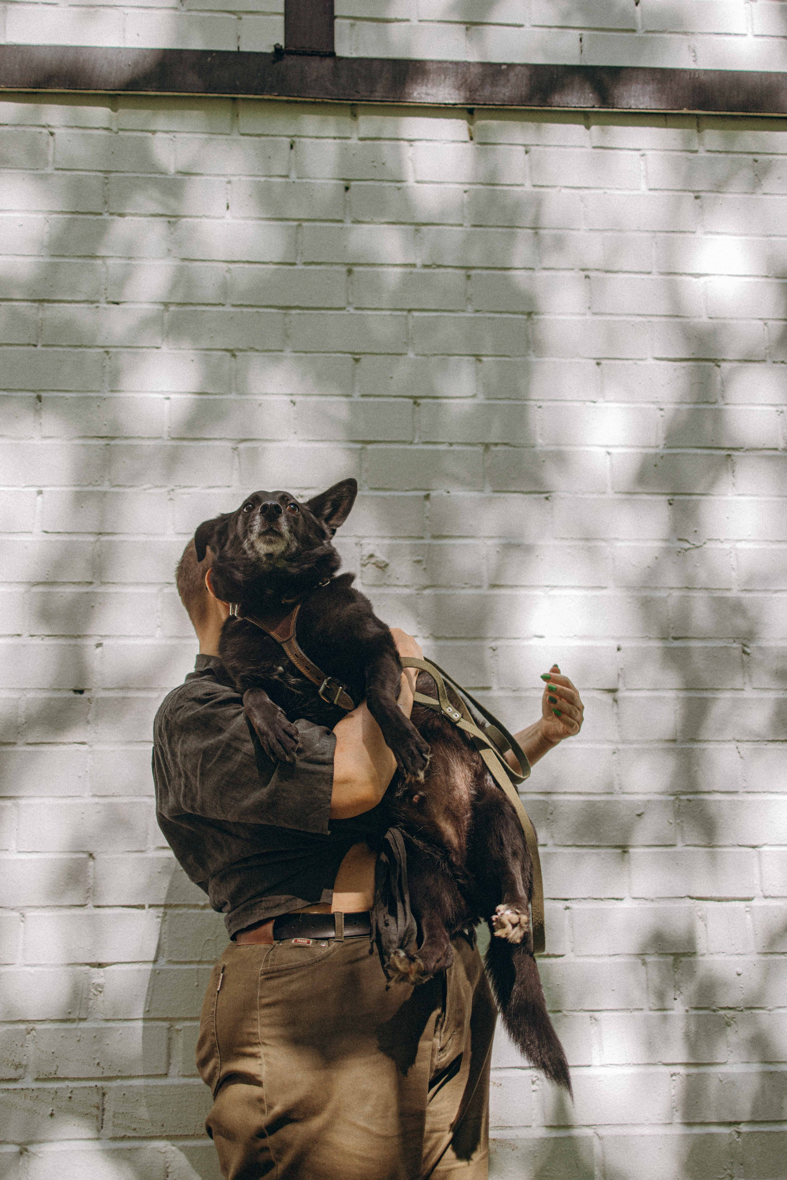Наталья, Марфа и Норд. Фотограф-анималист в Москве Лера Черноног