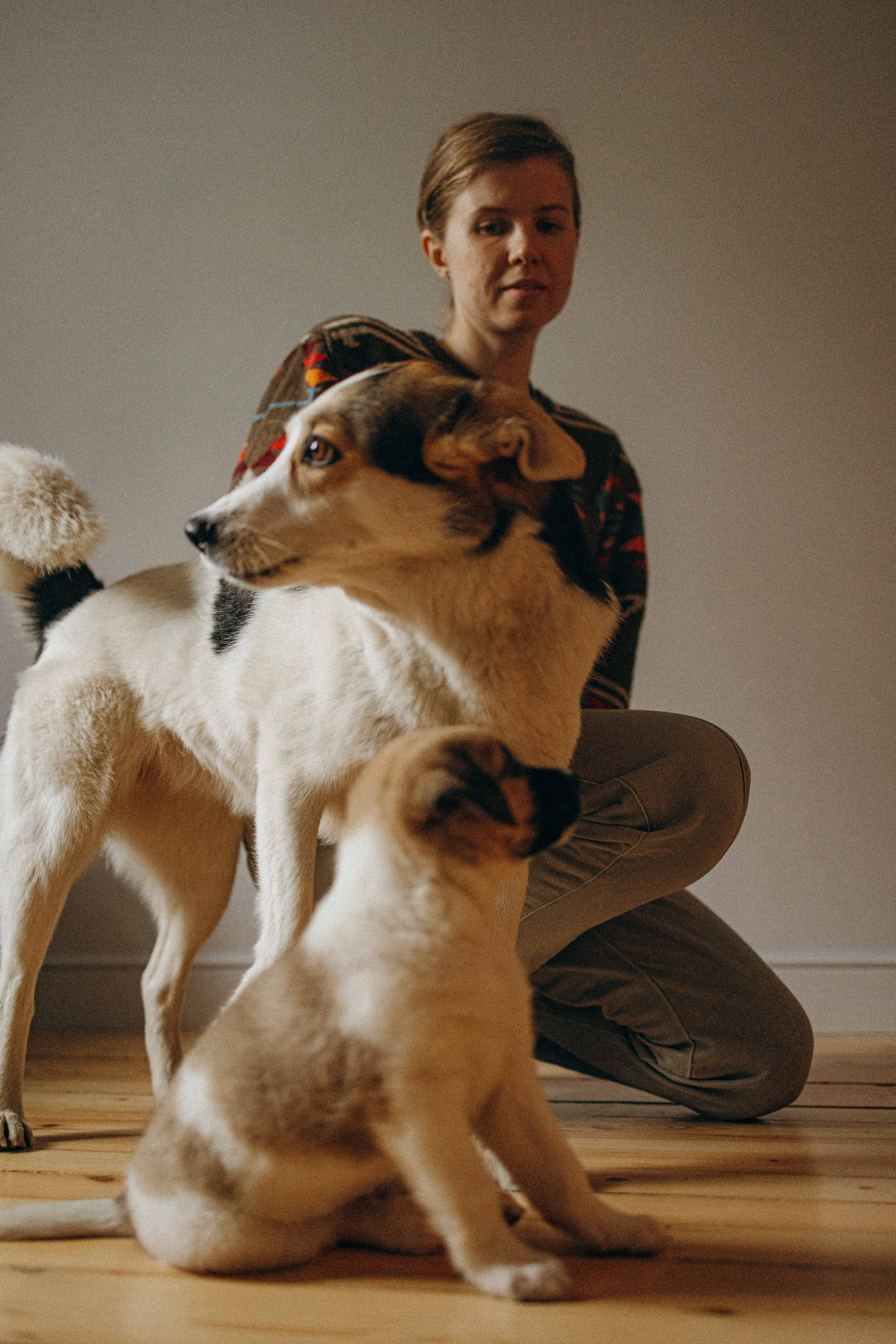 Щеночки. Фотограф-анималист в Москве Лера Черноног