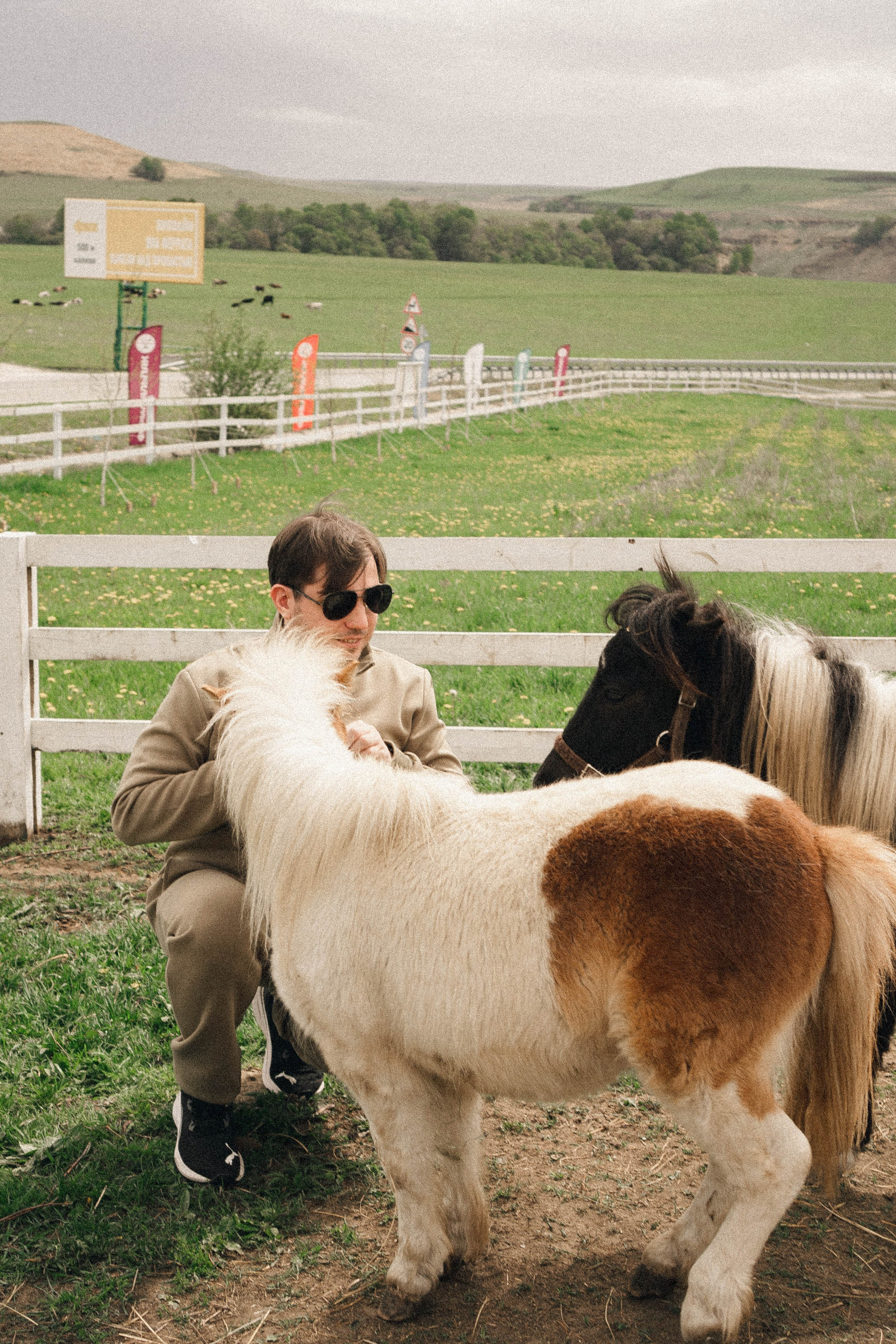 Ферма Альпак. Профессиональный фотограф, Санкт-Петербург — Виктория Богомолова