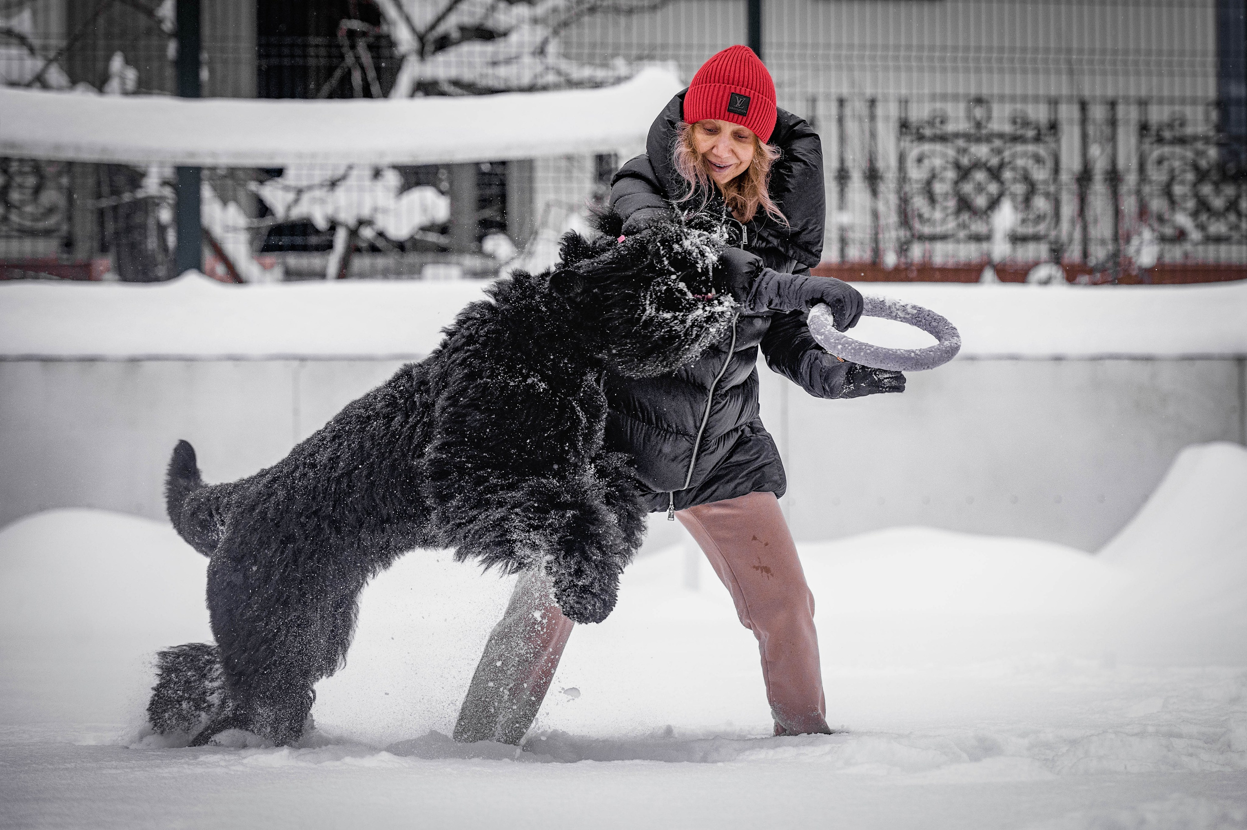 Клео. Фотограф-анималист