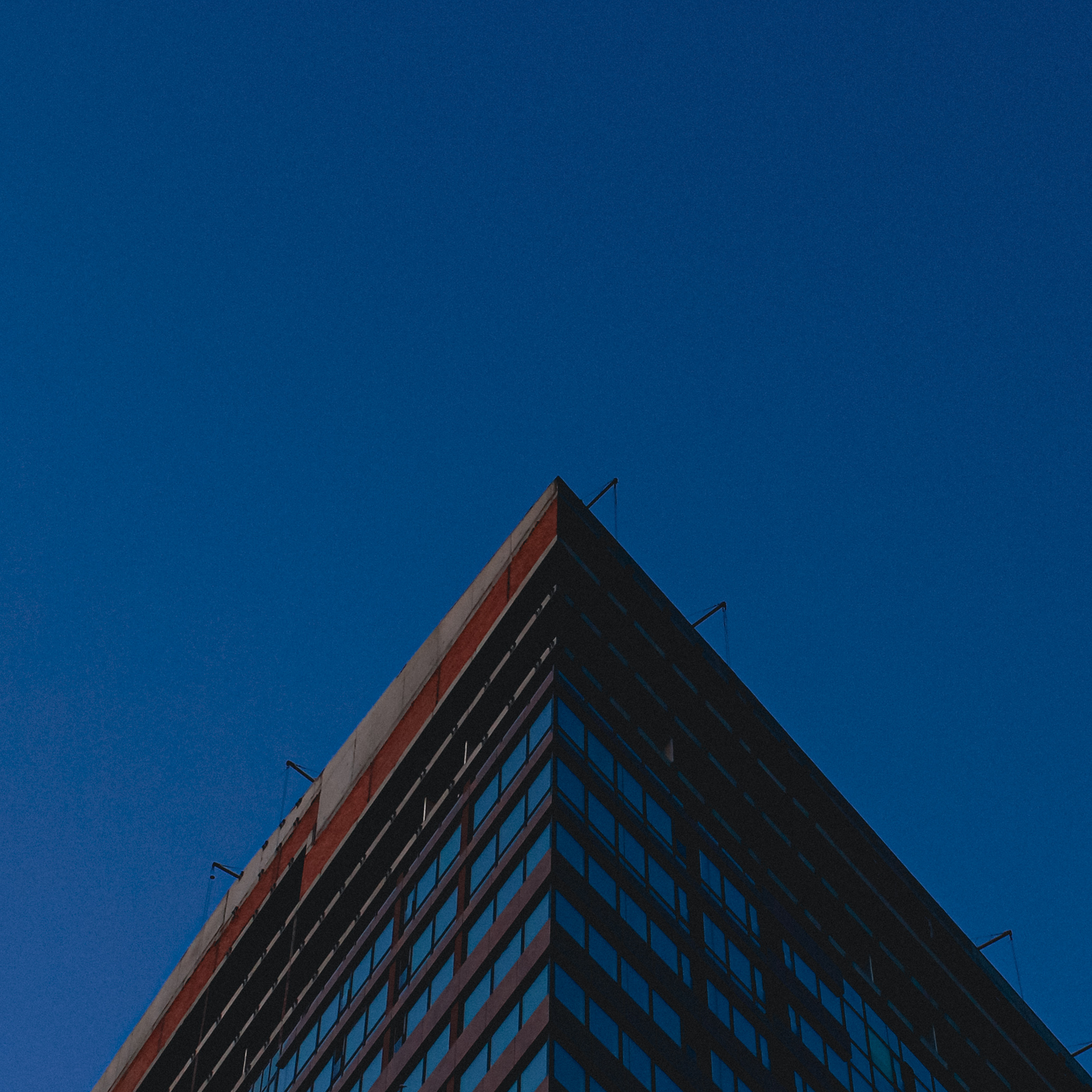 Summertime. Фотограф/дизайнер в Екатеринбурге Хитрый Дмитрий