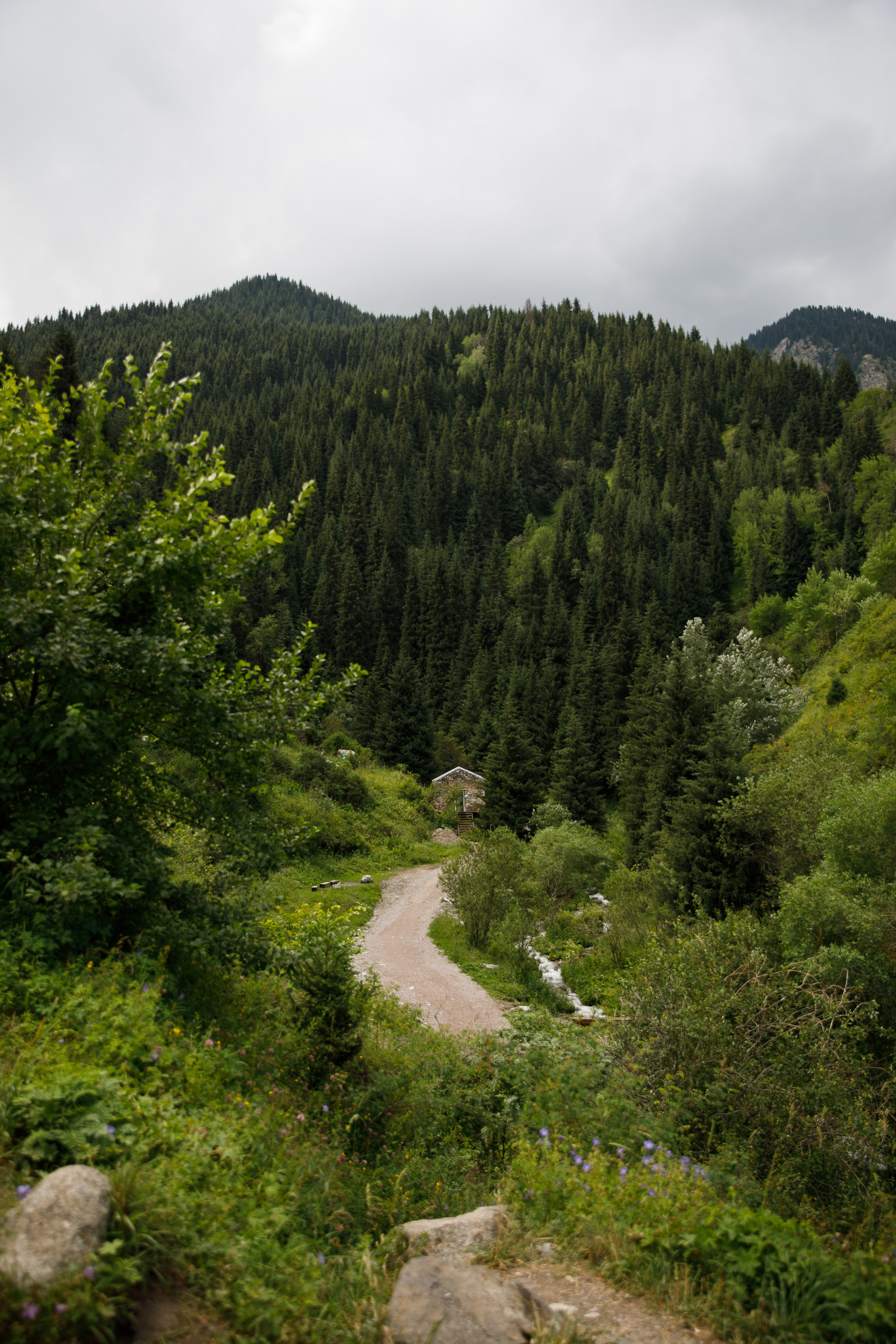 Казахстан / июль 2024. Репортажный и портретный фотограф Русакова Жанна