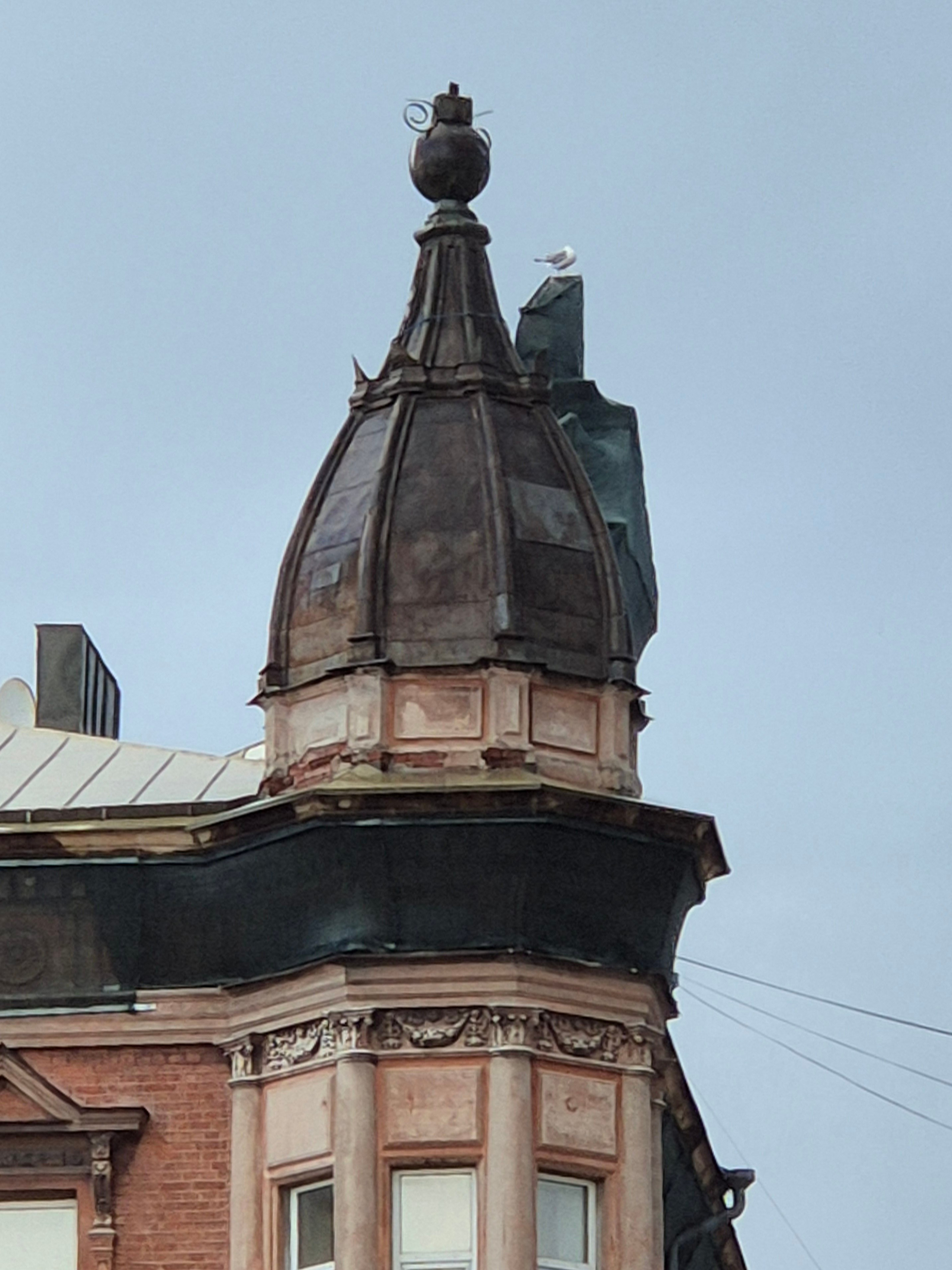 Город окружен водой, чайки дополняют городские украшения