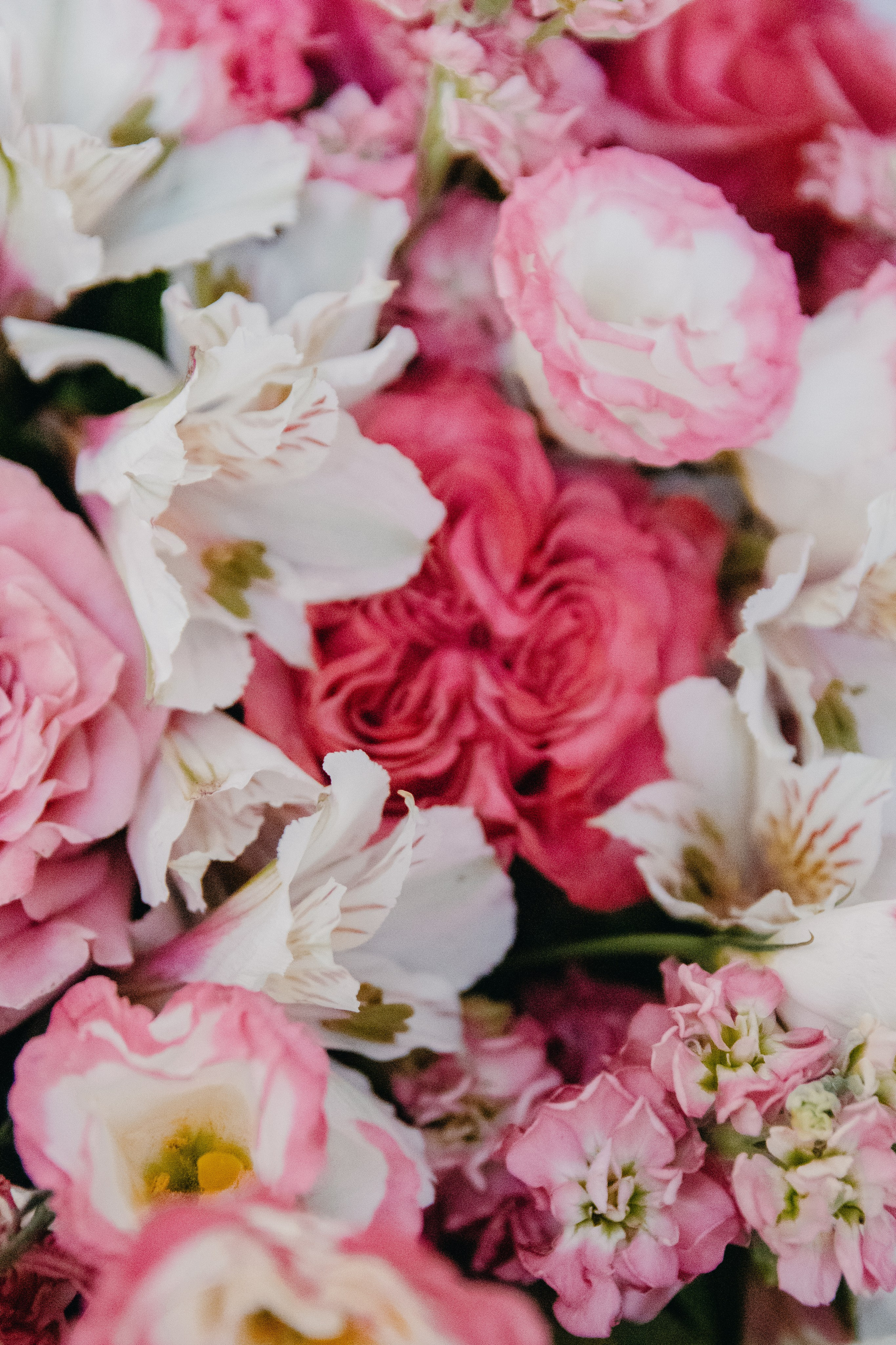 Репортаж юбилея. Семейный фотограф в Москве