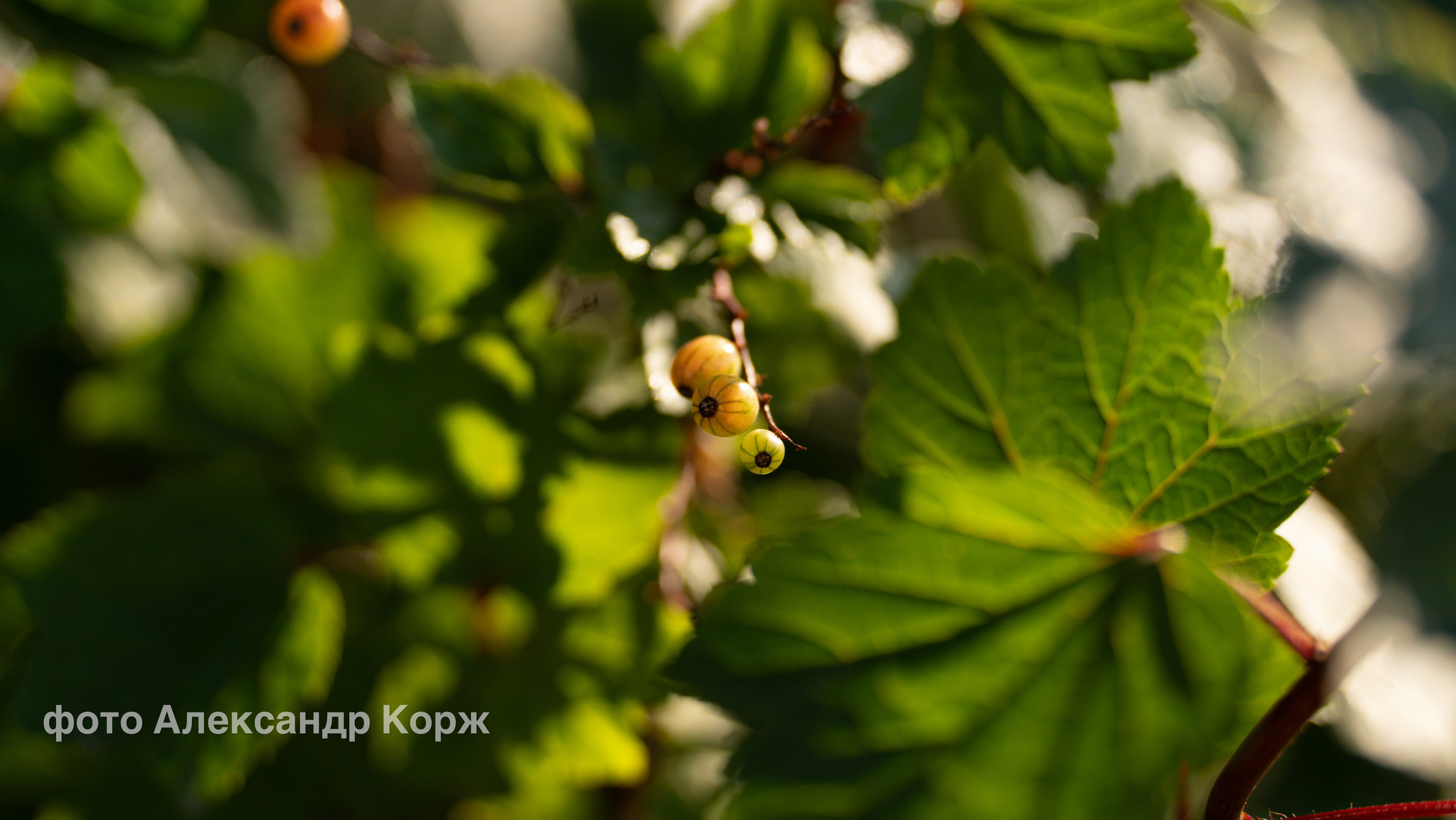 Фотографии Северного поселка Айхал. Фотографии и видеосъемка, Айхал, Удачный, Якутия. Фотографии Айхал