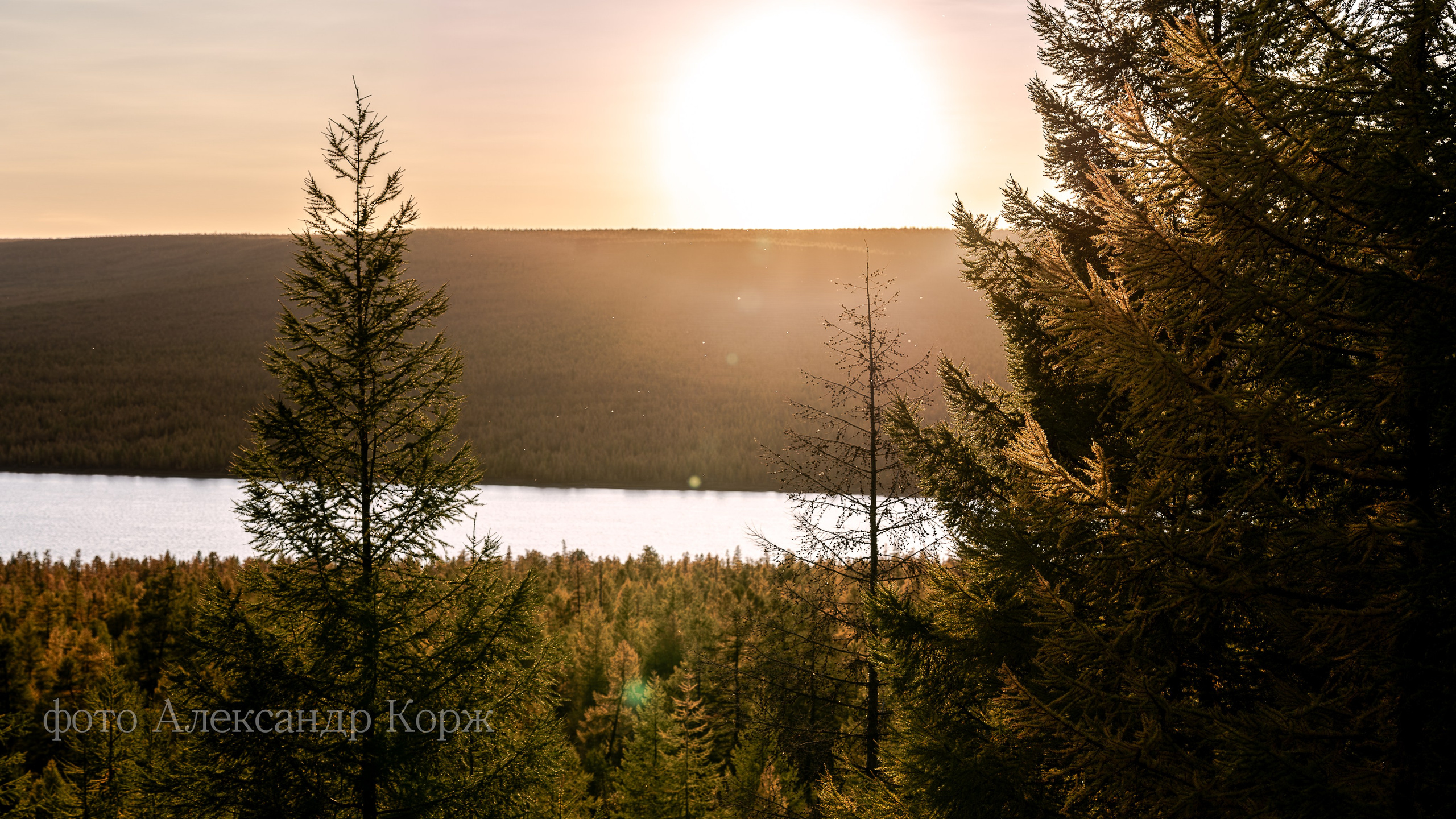 Золотая осень 2025. Айхал. Удачный. Мирный Якутия. Фотографии и видеосъемка, Айхал, Удачный, Якутия. Фотографии Айхал